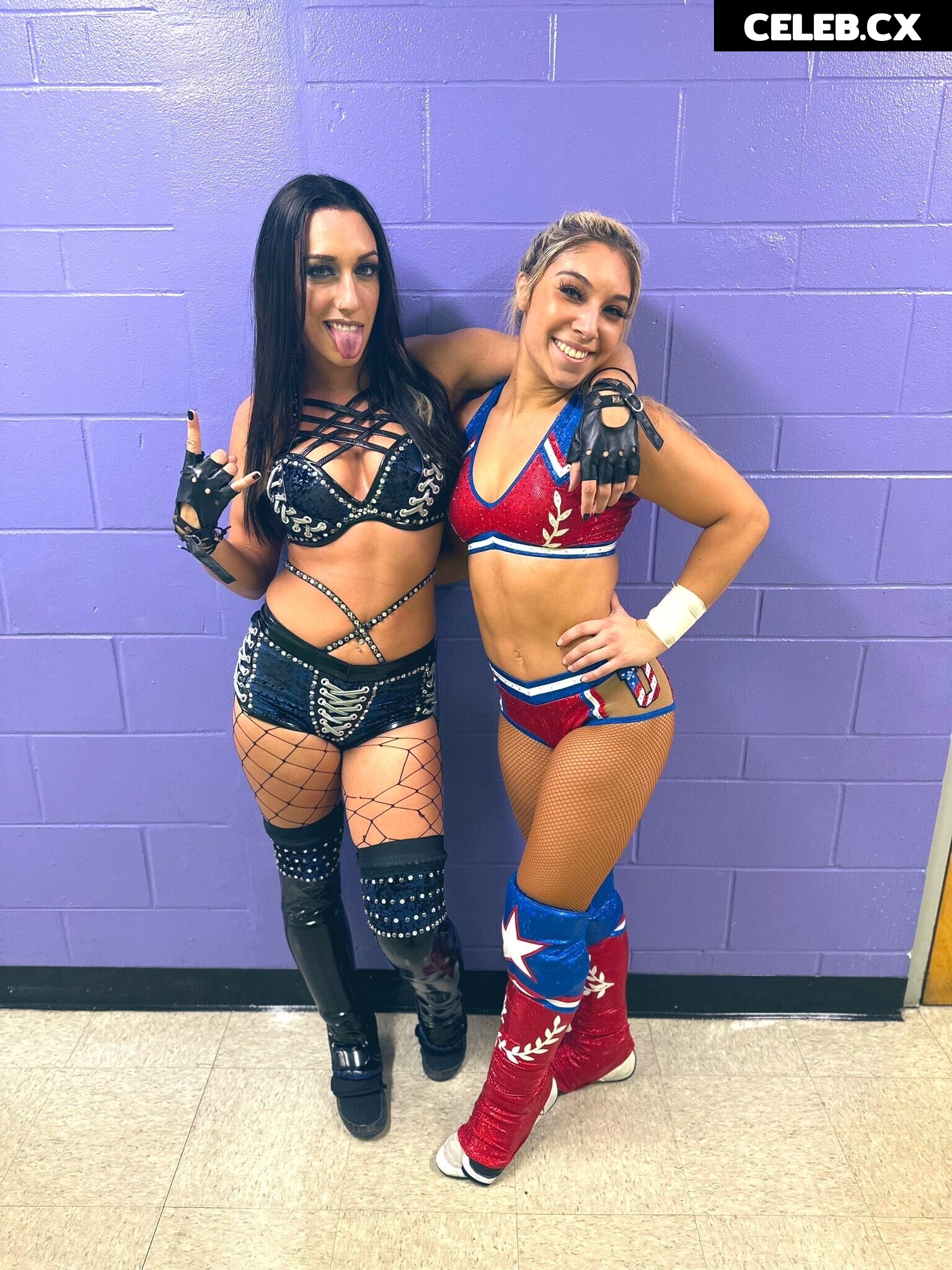 Women of Professional Wrestling Image 6267328