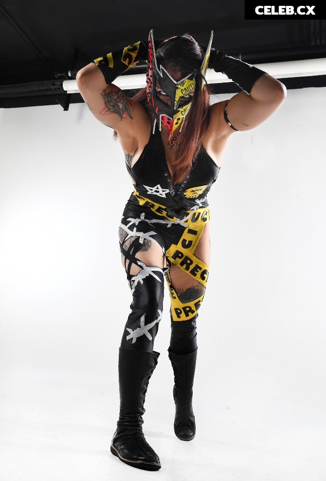 Women of Professional Wrestling Image 6260669