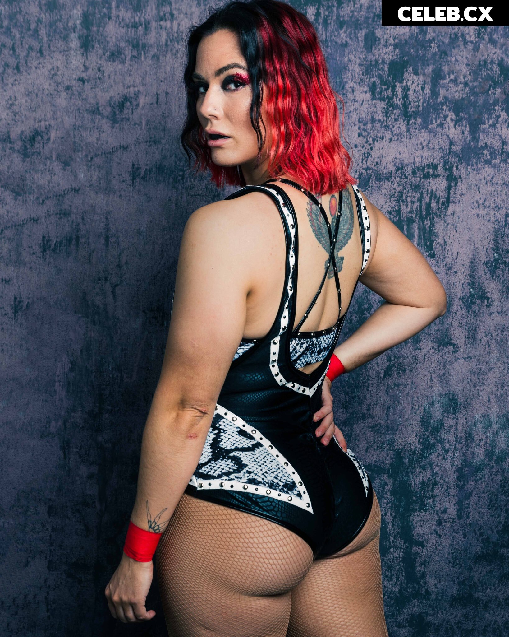 Women of Professional Wrestling Image 6269360