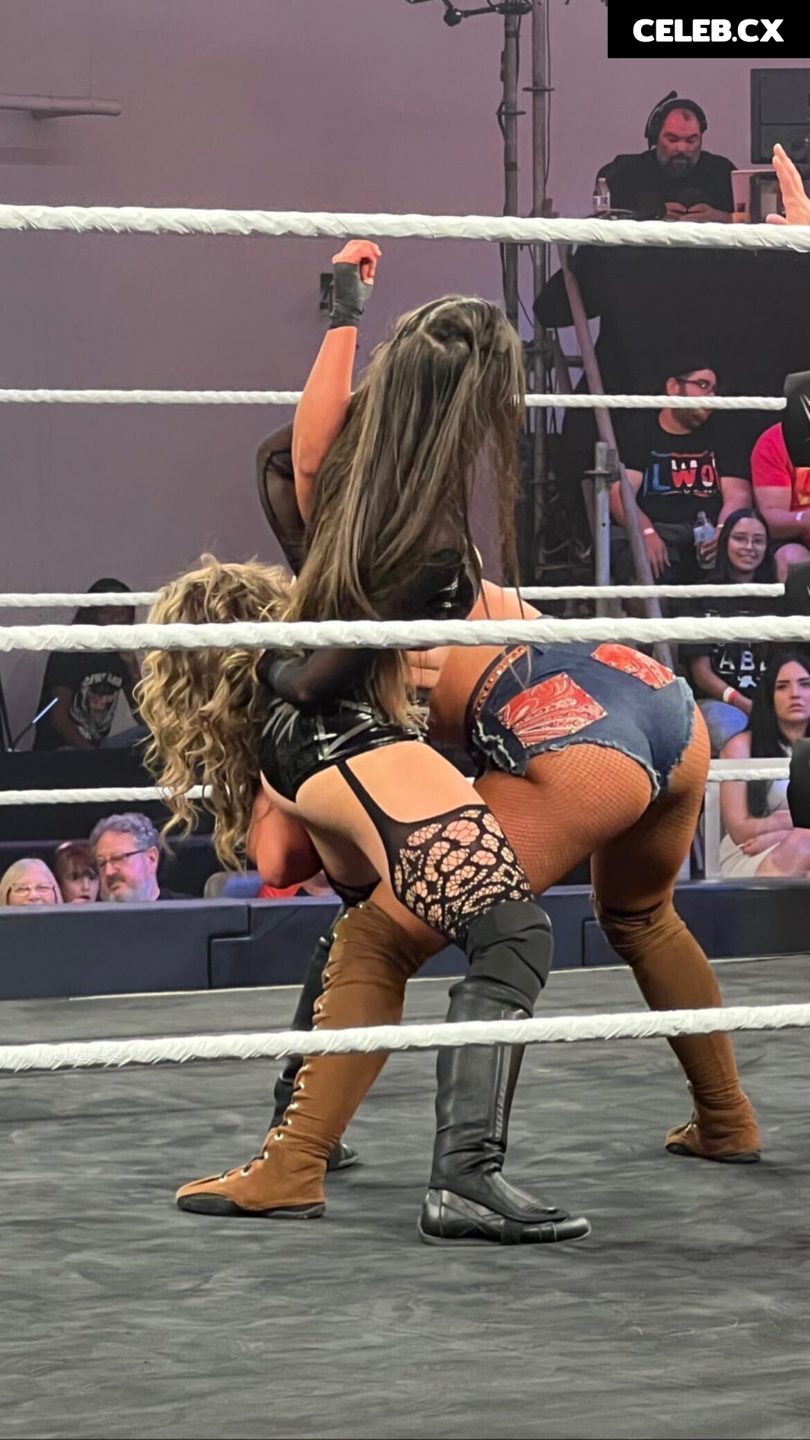 Women of Professional Wrestling Image 6255530