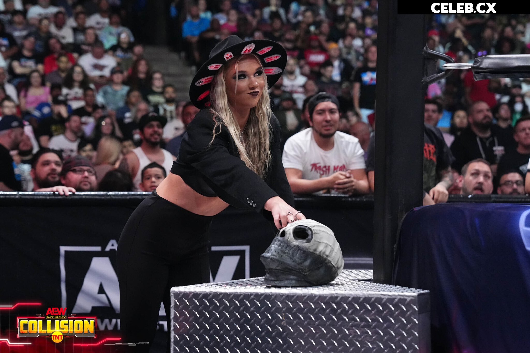 Women of Professional Wrestling Image 6255297