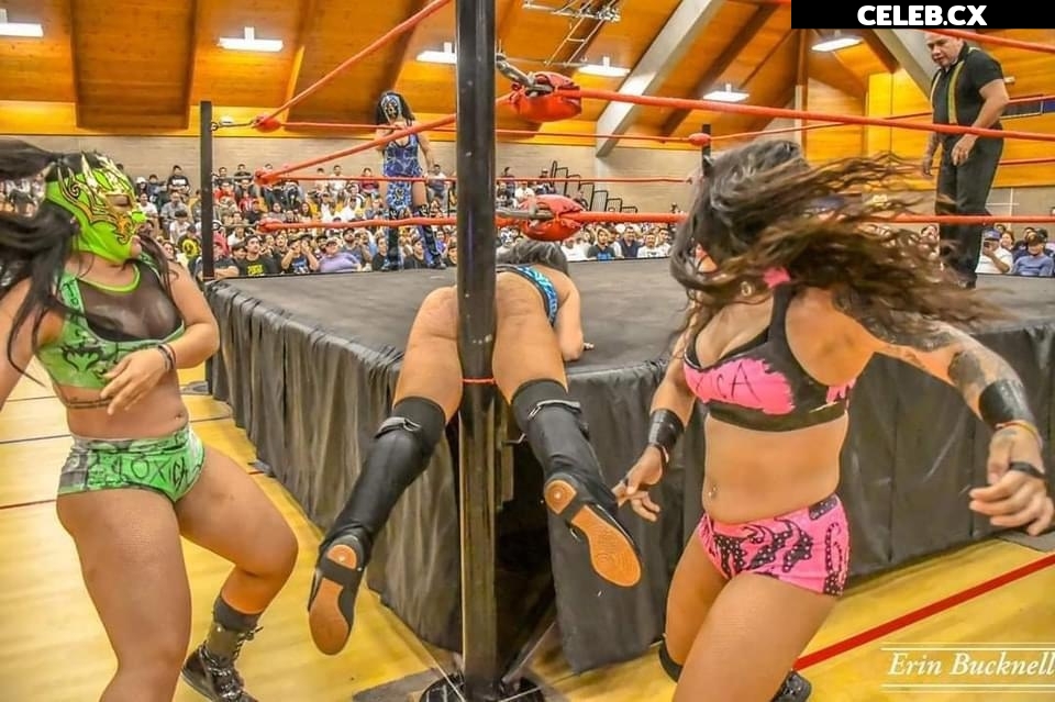 Women of Professional Wrestling Image 6256245