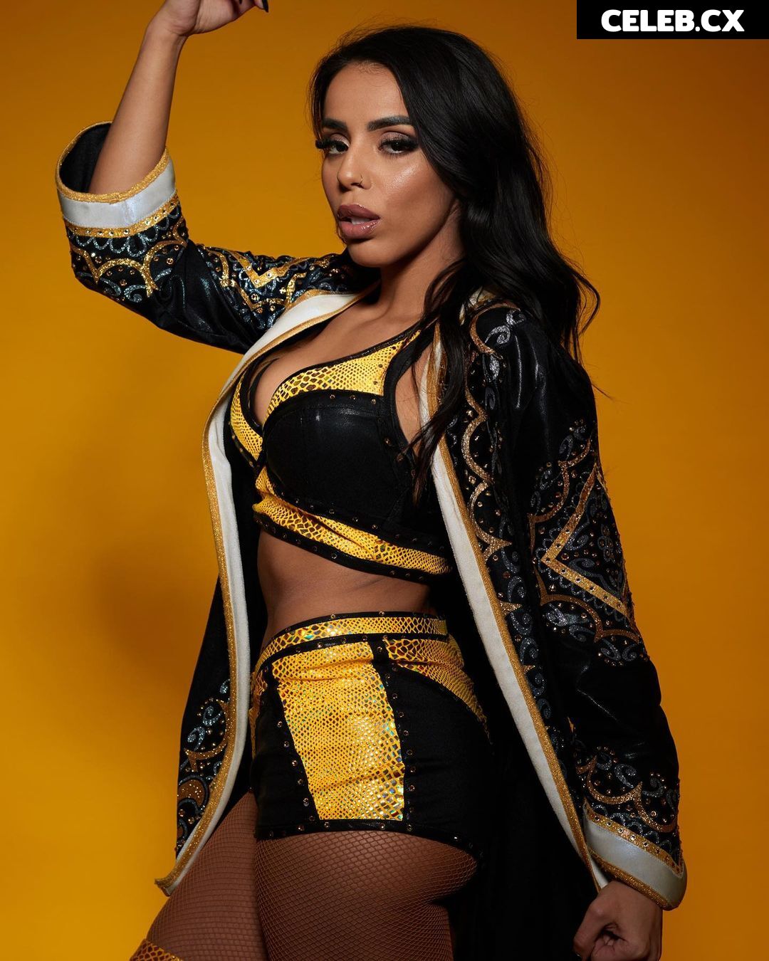 Women of Professional Wrestling Image 6251192