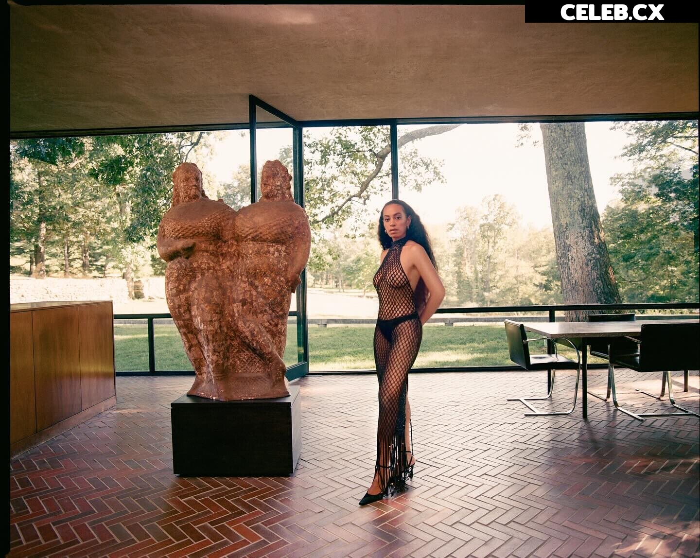 Solange Knowles Image 6251149