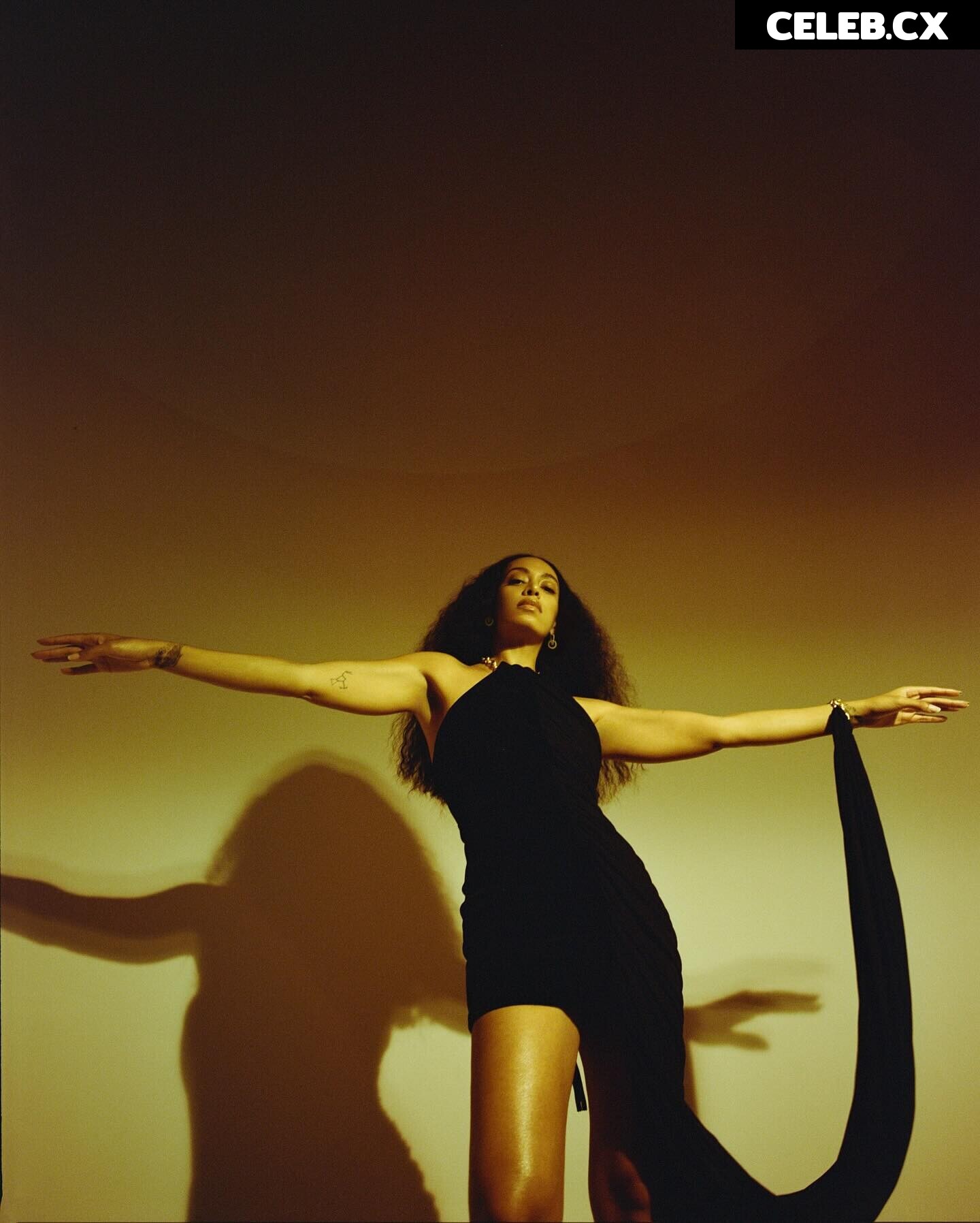 Solange Knowles Image 6251136