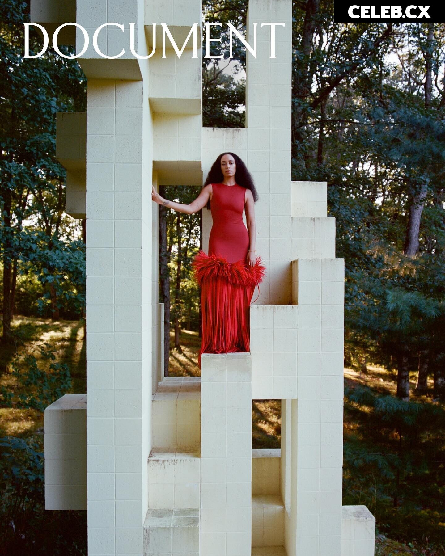 Solange Knowles Image 6251023