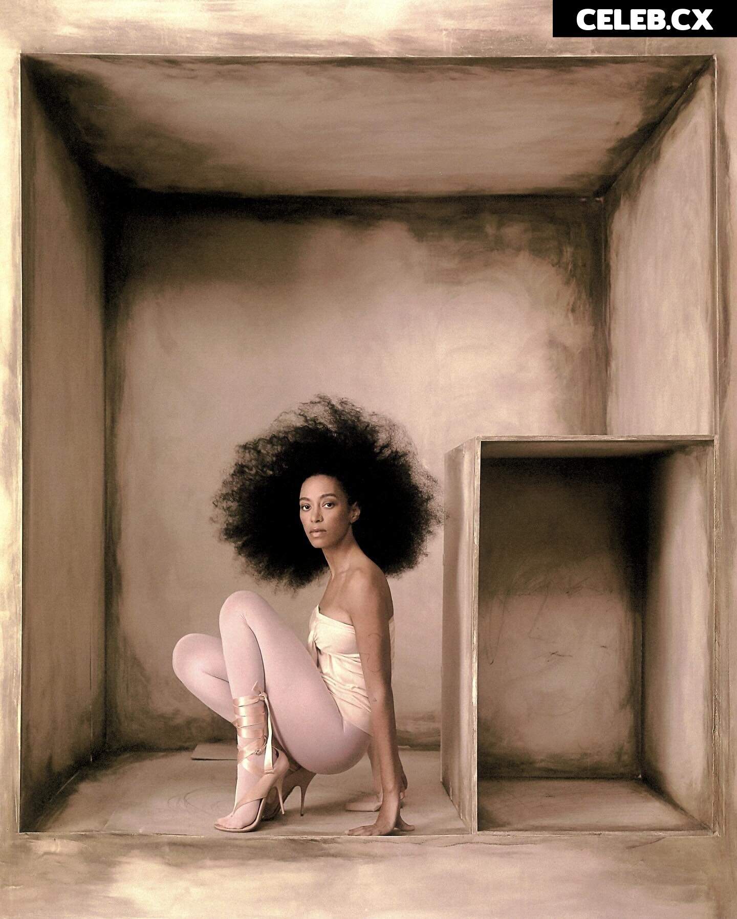 Solange Knowles Image 6251226