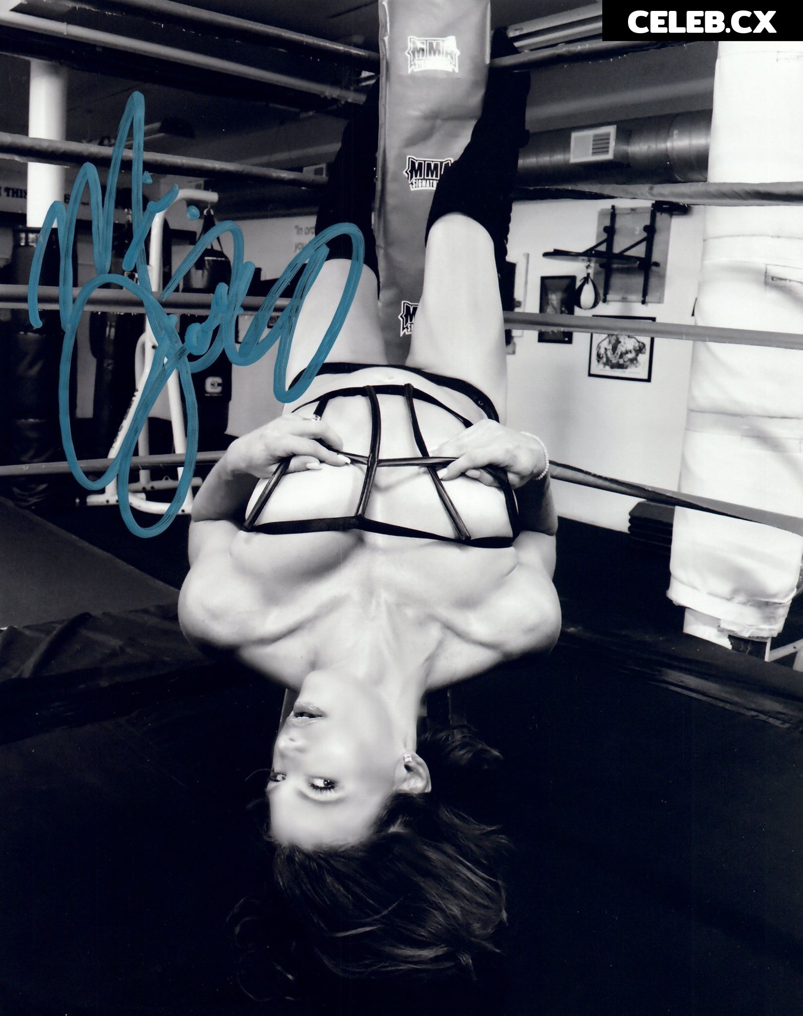 Women of Professional Wrestling Image 6251993
