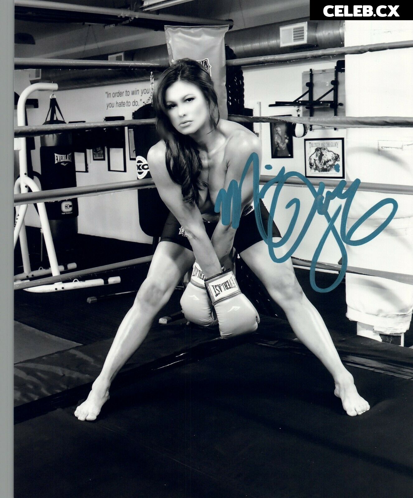 Women of Professional Wrestling Image 6252867