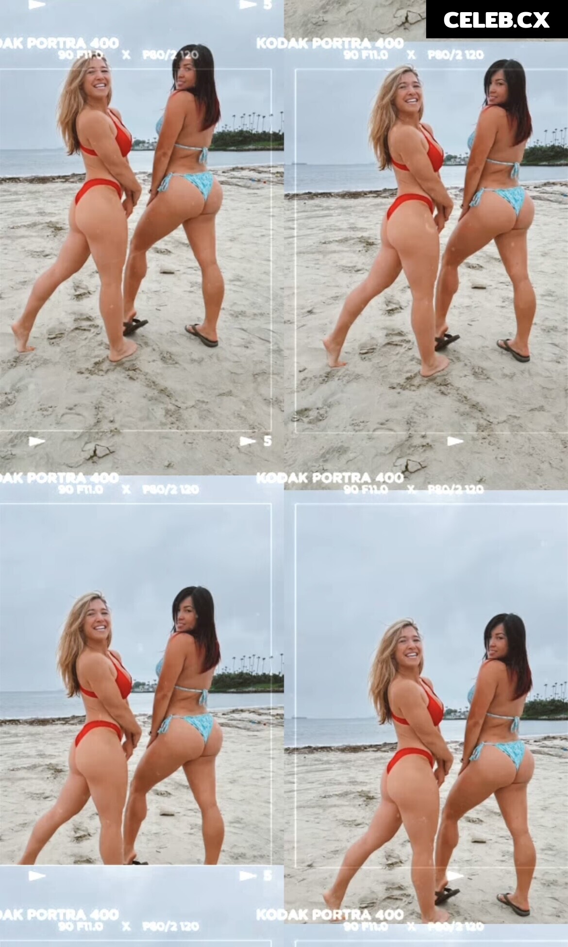 Women of Professional Wrestling Image 6250538