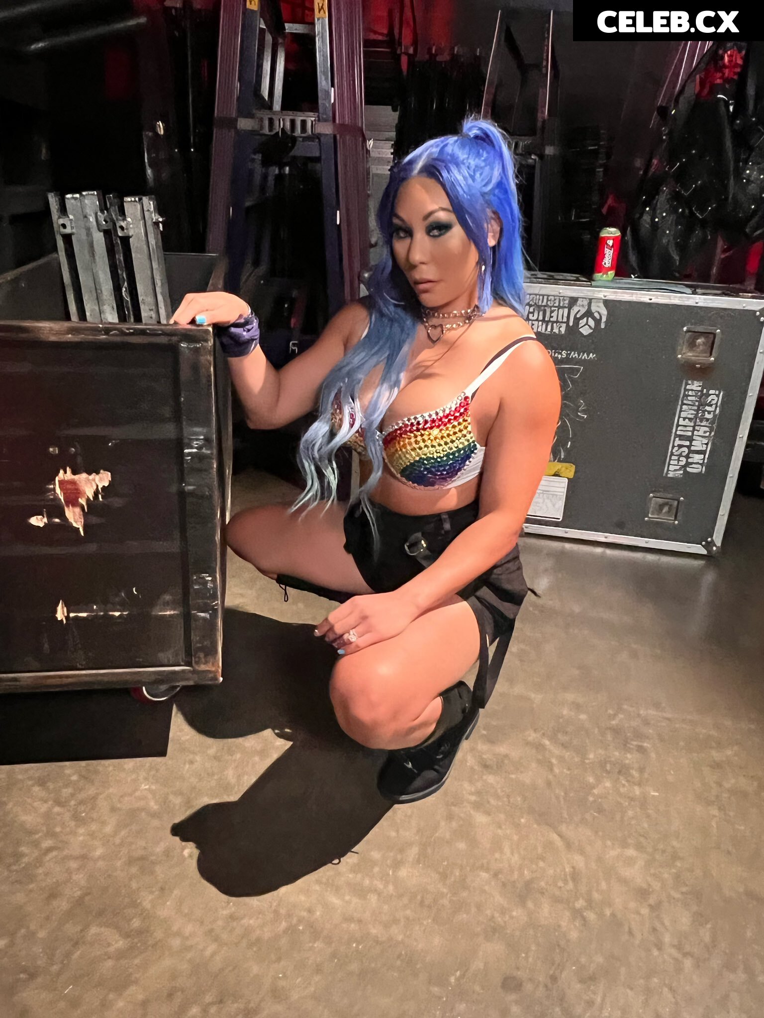 Women of Professional Wrestling Image 6258994