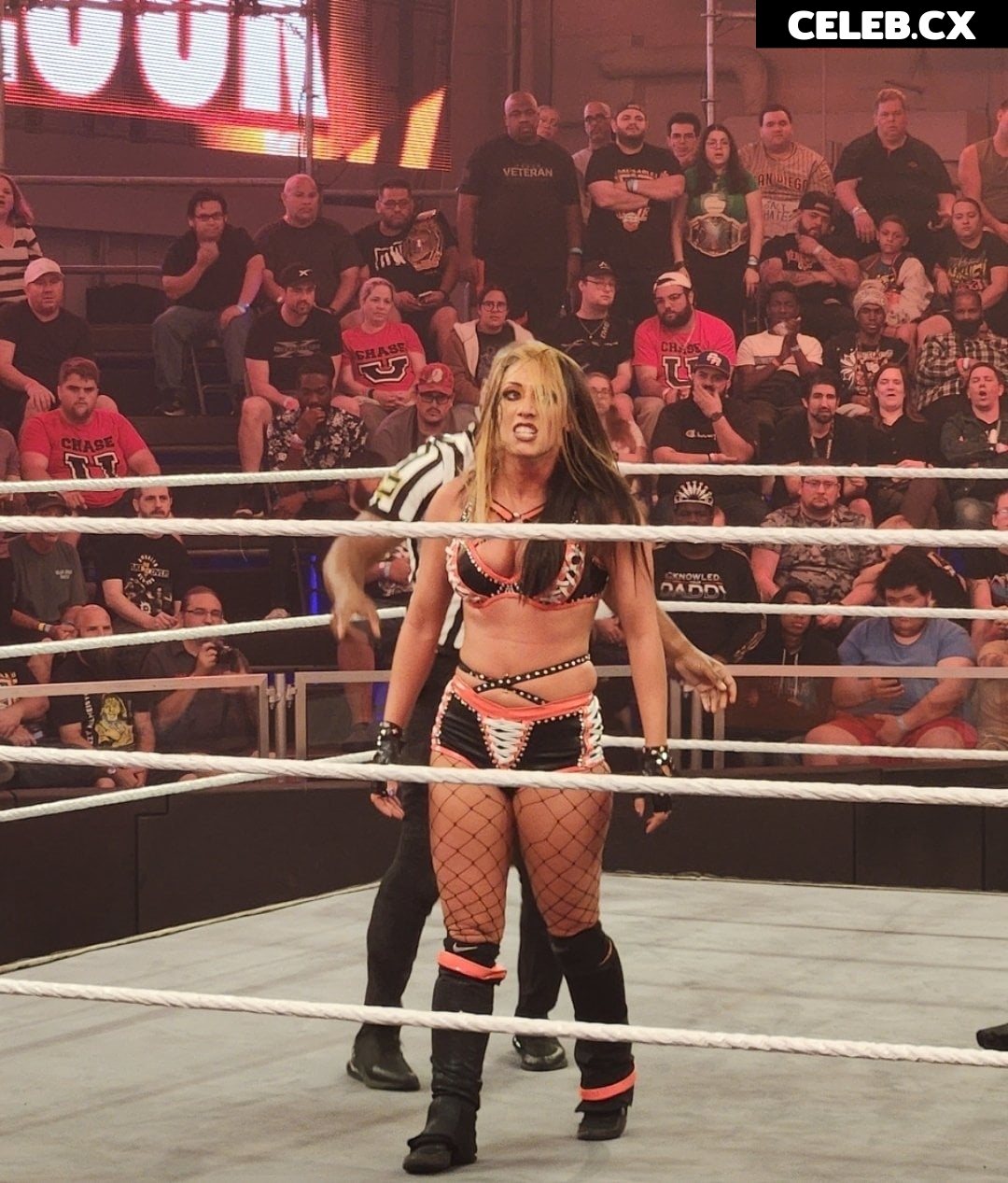 Women of Professional Wrestling Image 6245357