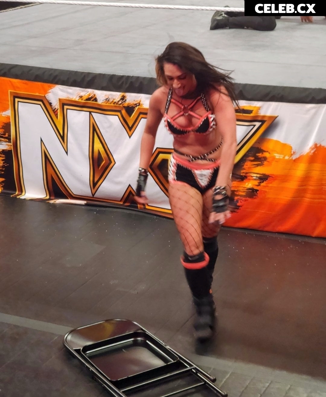 Women of Professional Wrestling Image 6245326
