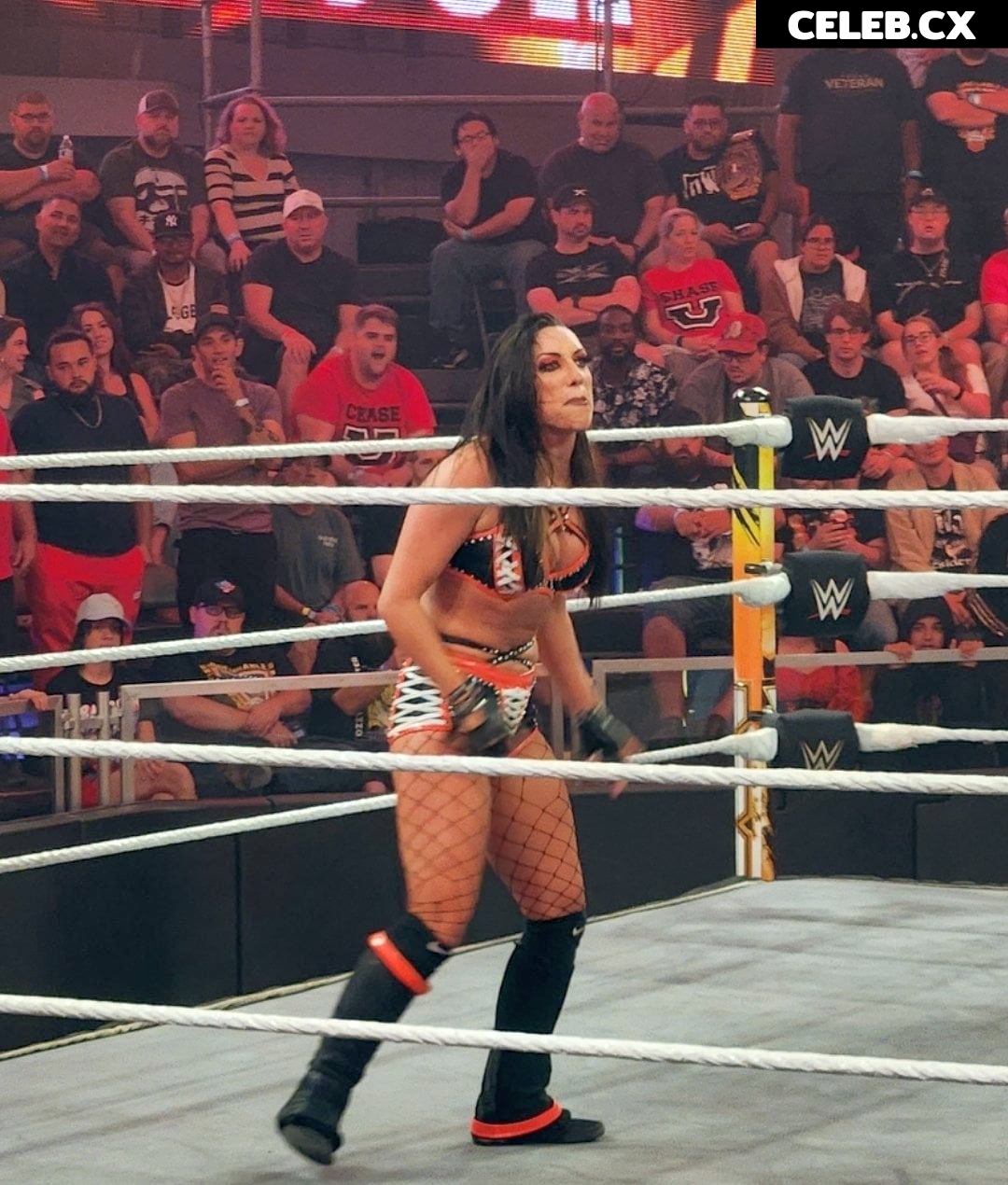 Women of Professional Wrestling Image 6245283