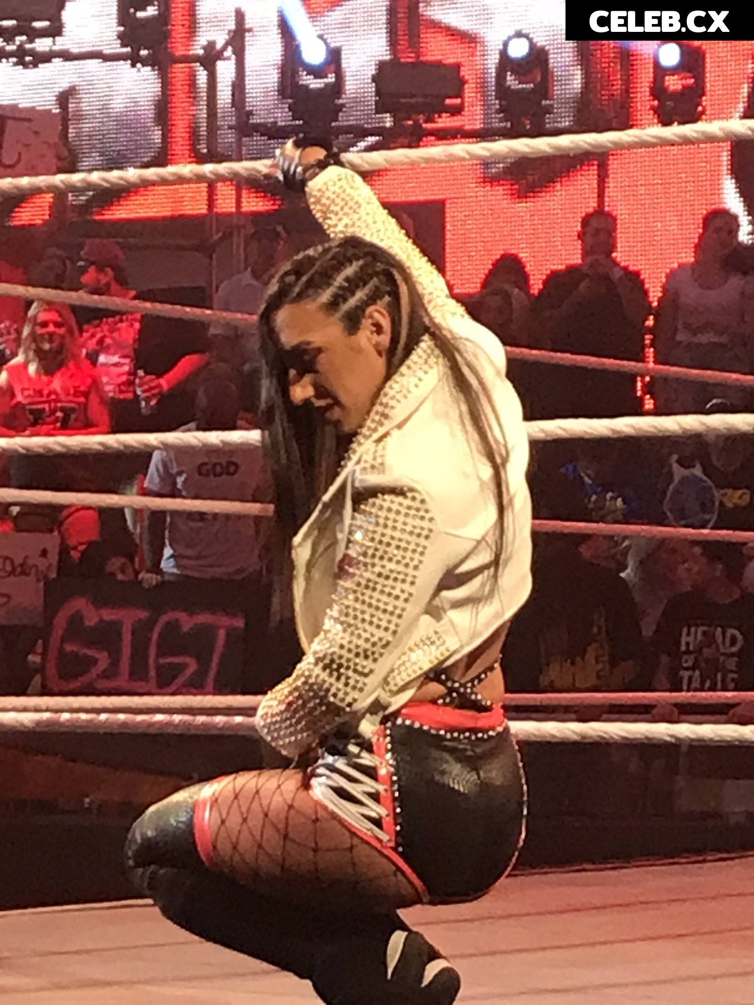 Women of Professional Wrestling Image 6245269