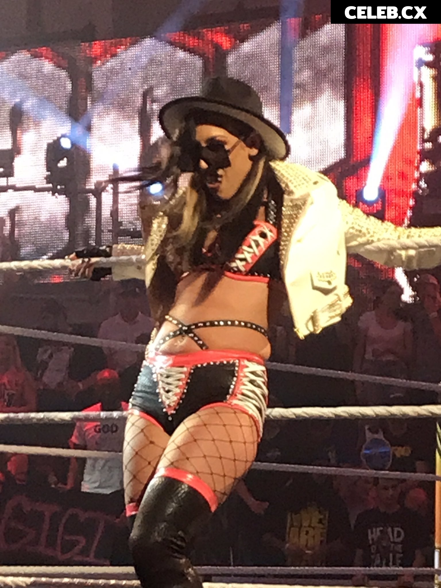 Women of Professional Wrestling Image 6245239