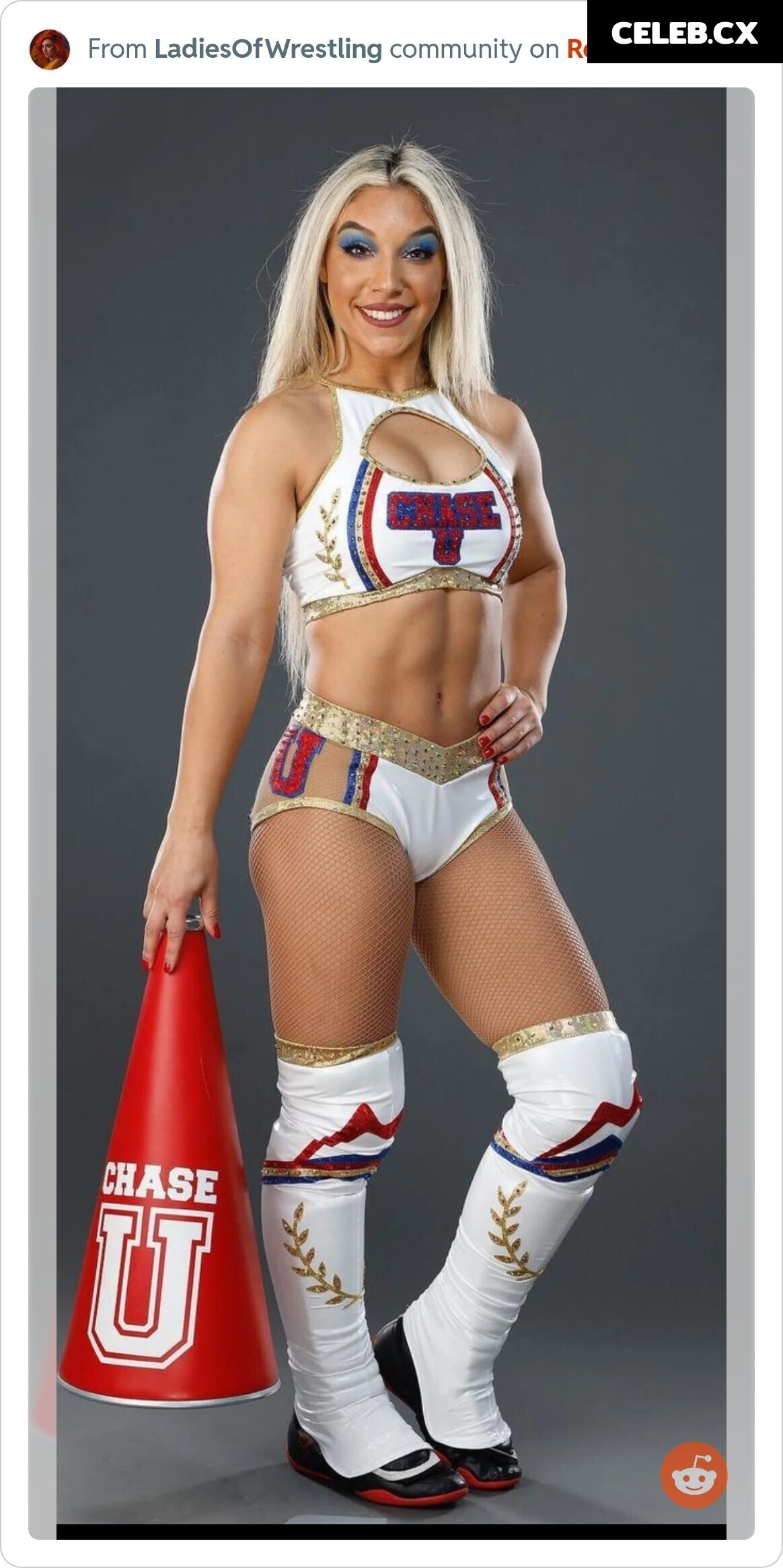Women of Professional Wrestling Image 6247729