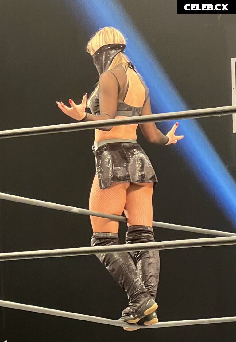 Women of Professional Wrestling Image 6244194