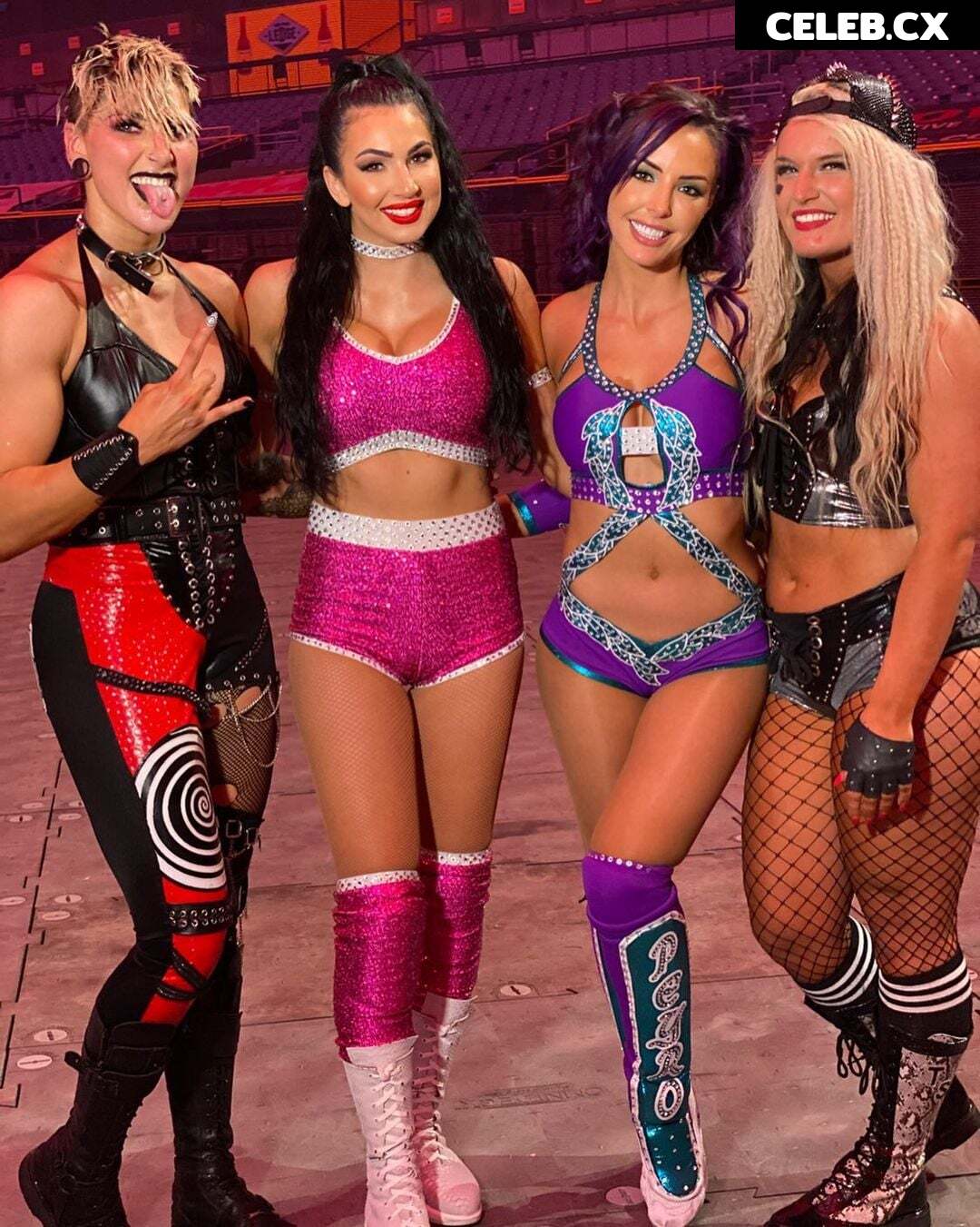 Women of Professional Wrestling Image 6244035
