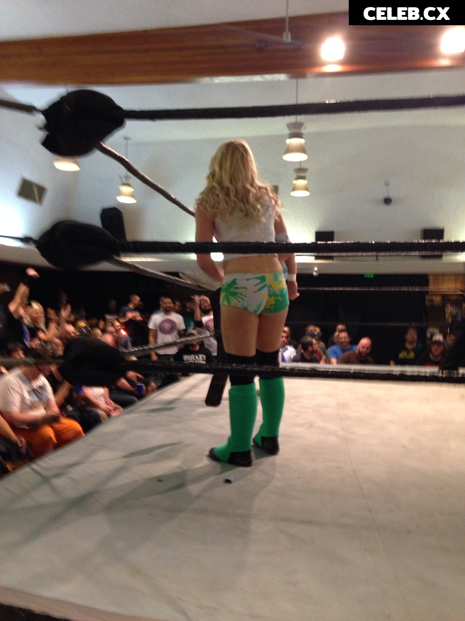 Women of Professional Wrestling Image 6241280