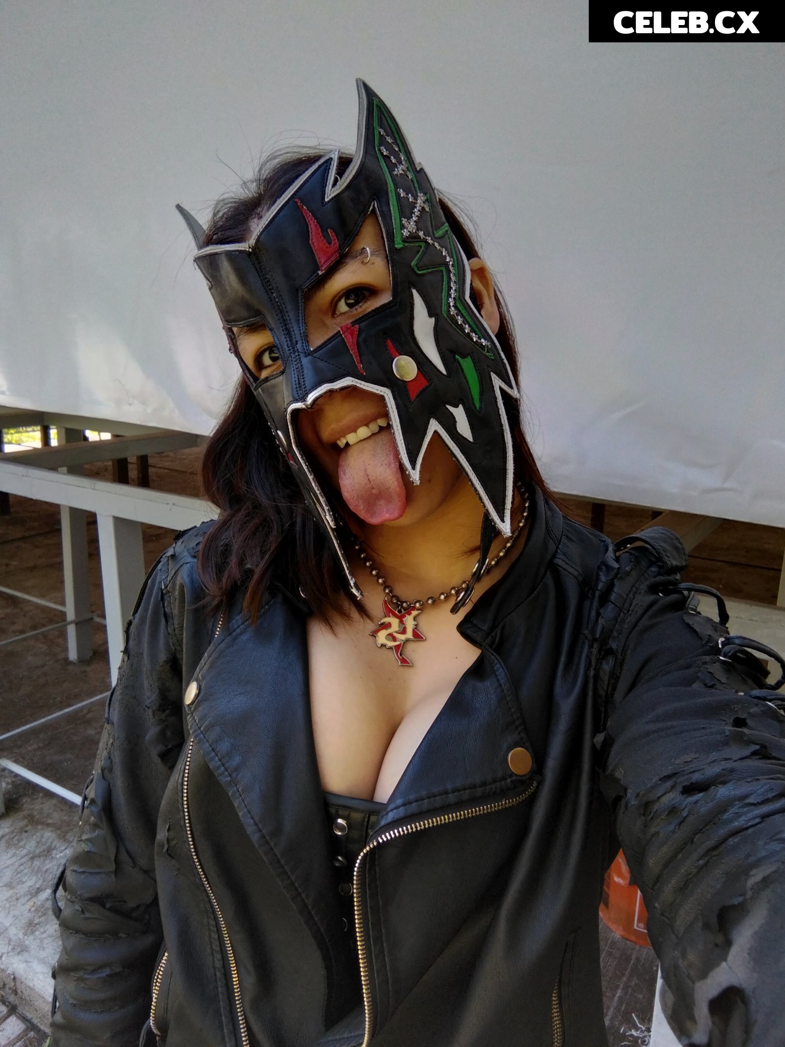 Women of Professional Wrestling Image 6248830