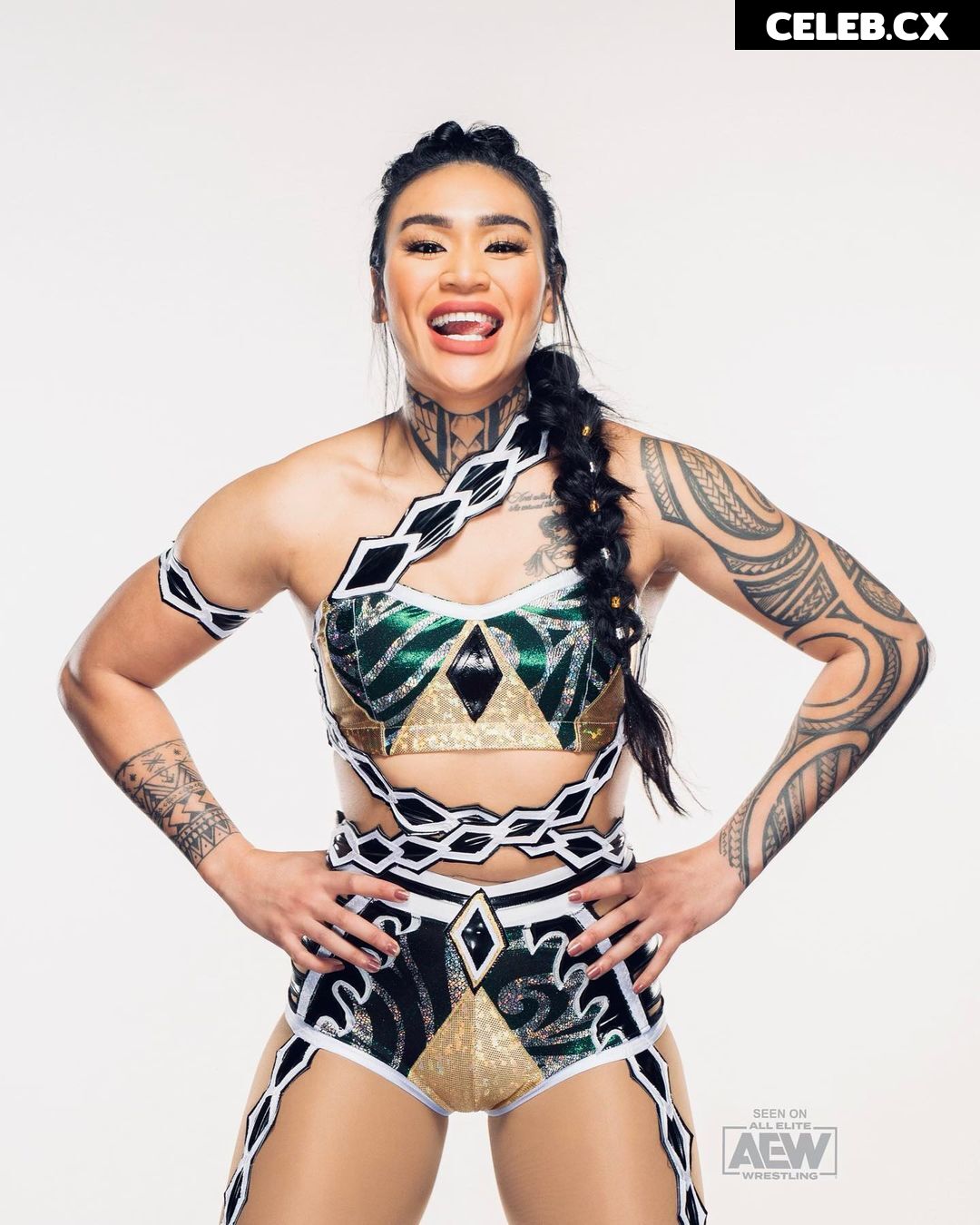 Women of Professional Wrestling Image 6248589