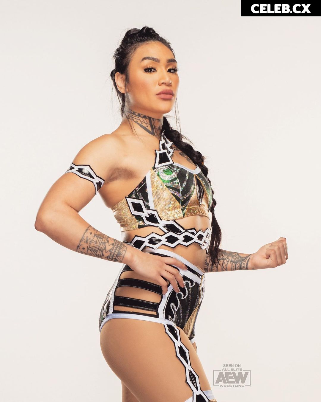 Women of Professional Wrestling Image 6248639