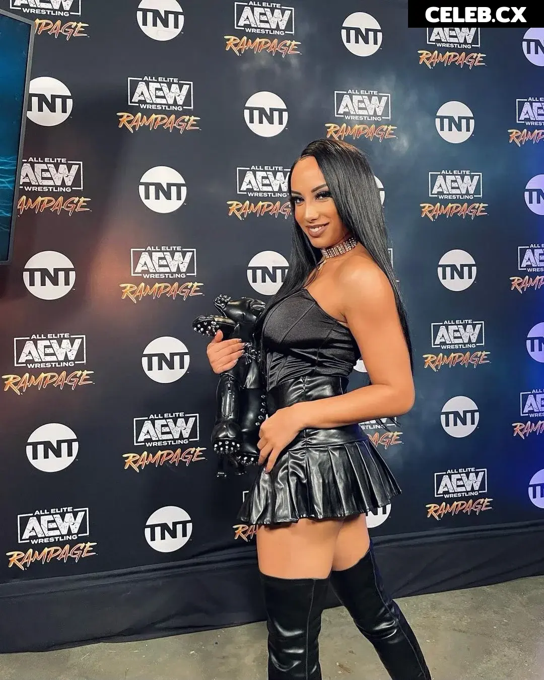 Women of Professional Wrestling Image 6215707