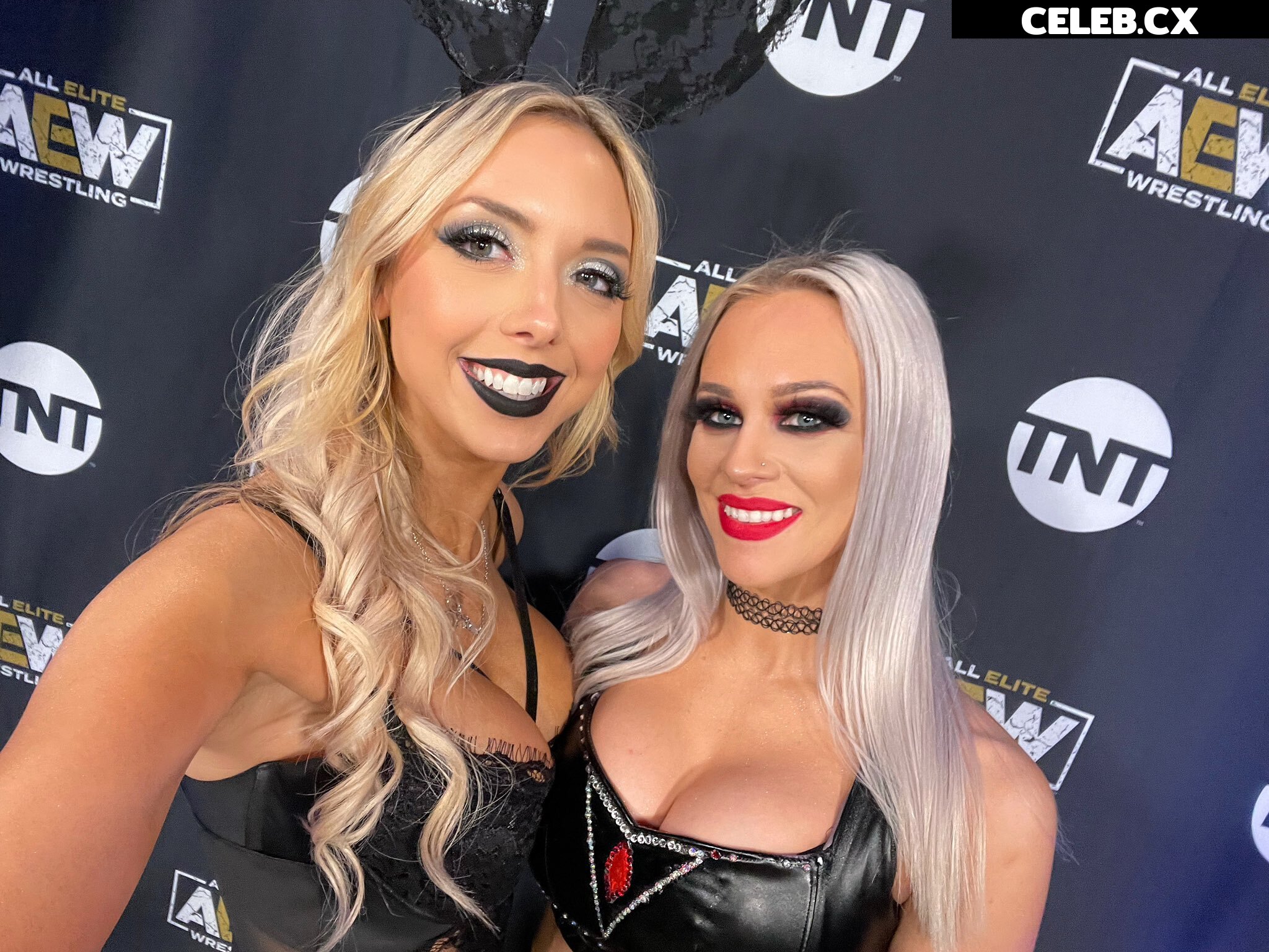 Women of Professional Wrestling Image 6212729