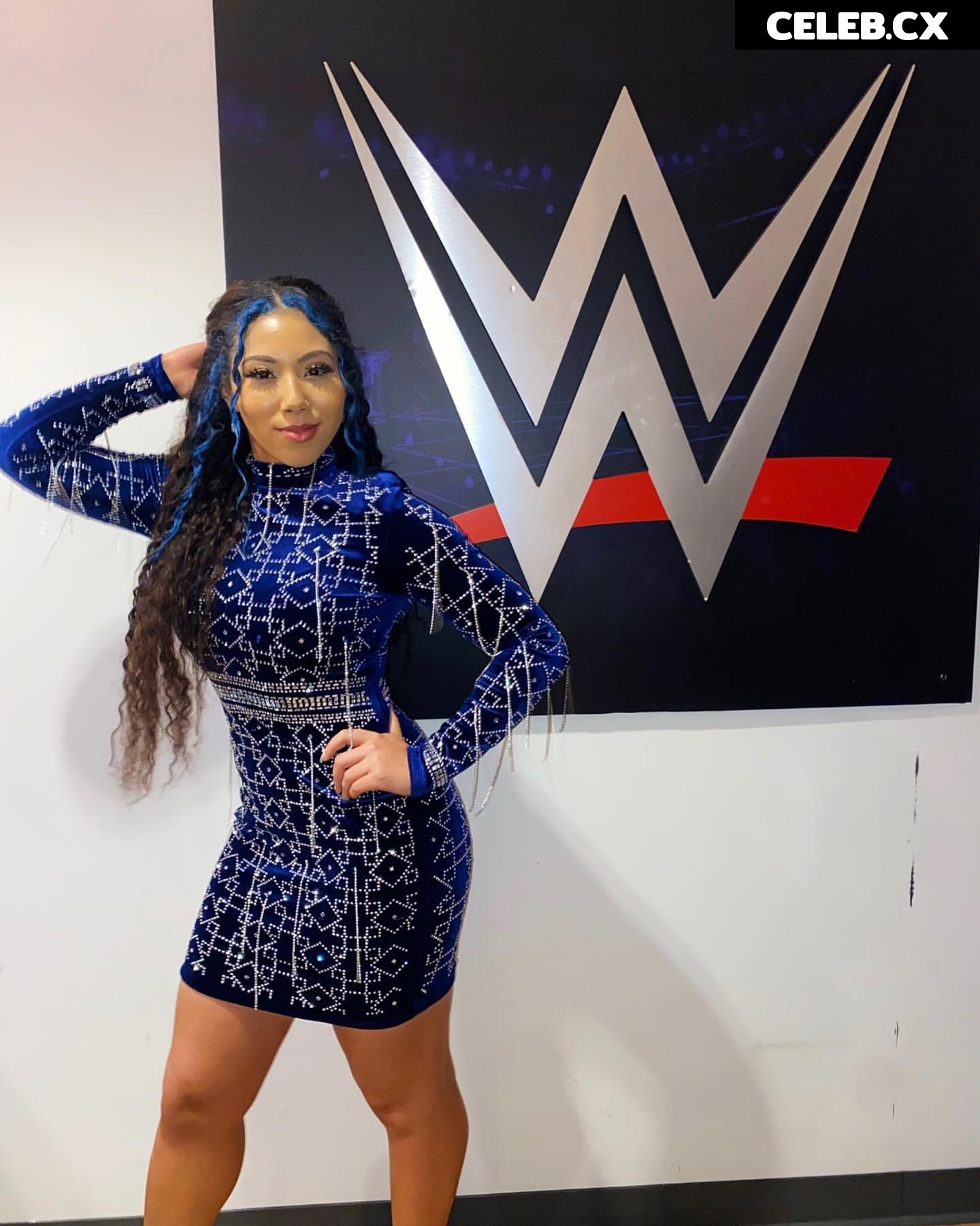 Women of Professional Wrestling Image 6205035