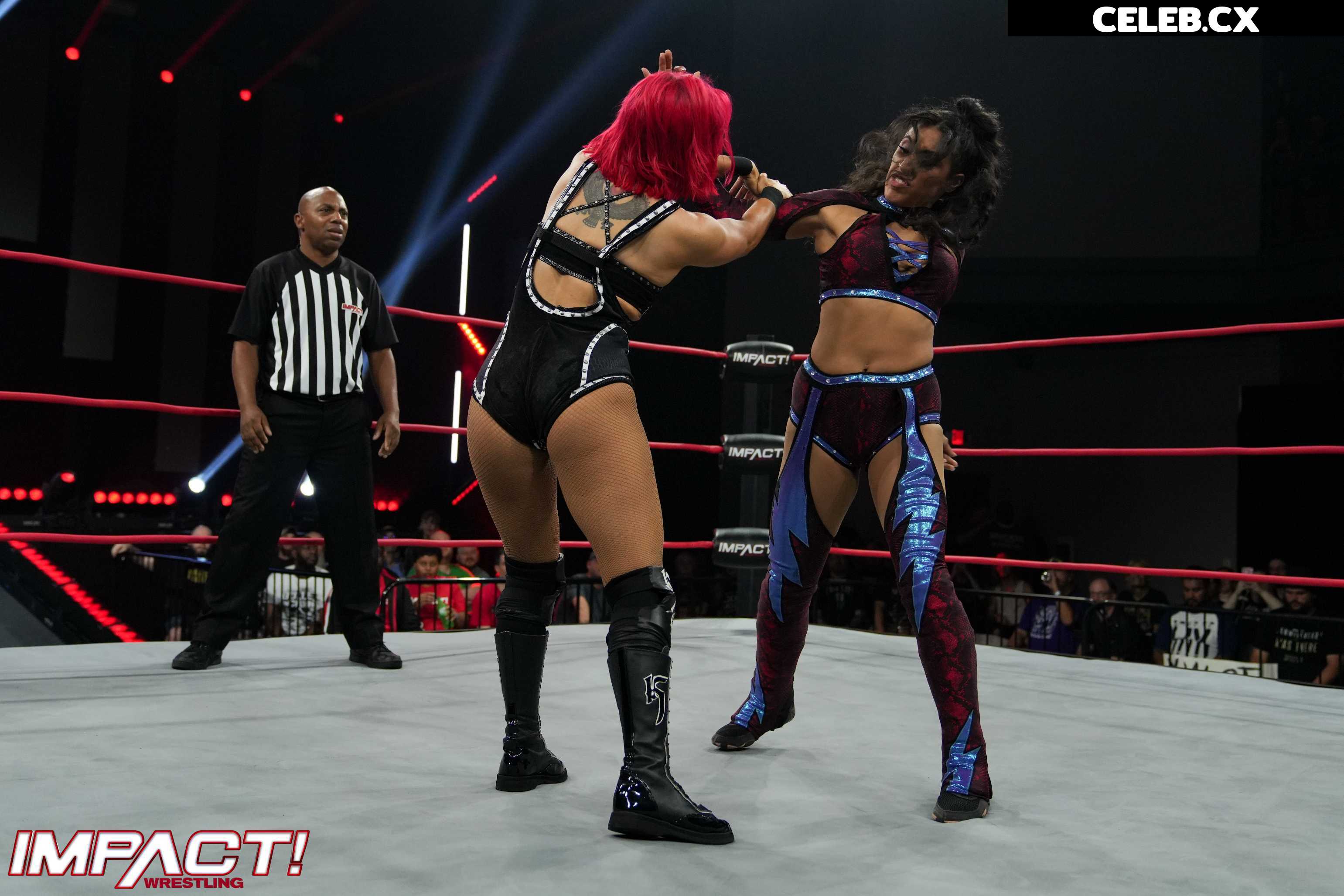 Women of Professional Wrestling Image 6206840