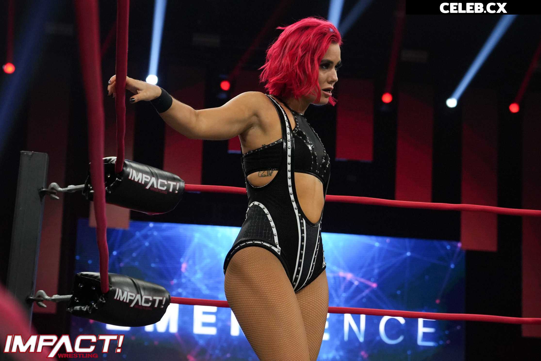 Women of Professional Wrestling Image 6206763