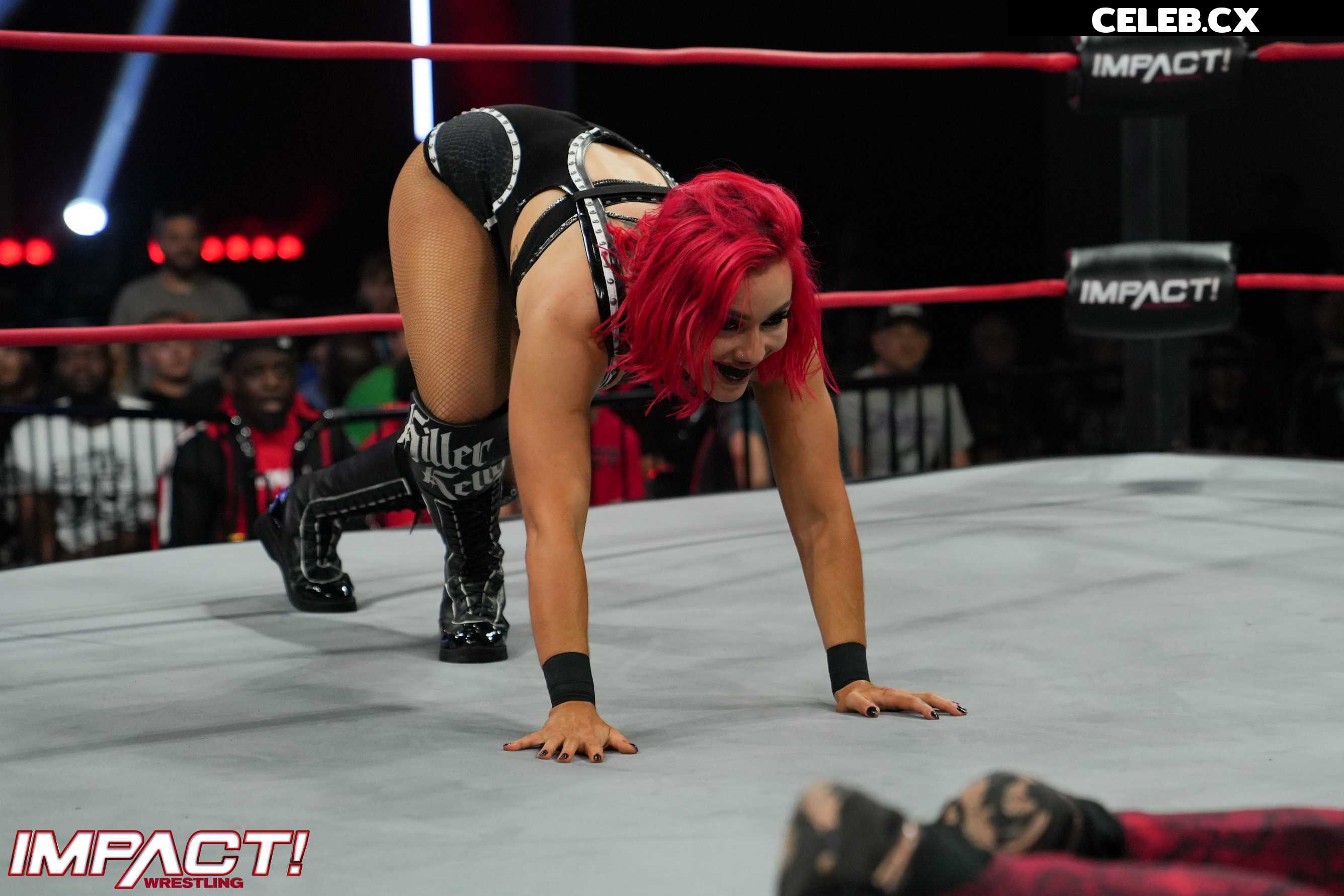 Women of Professional Wrestling Image 6206726
