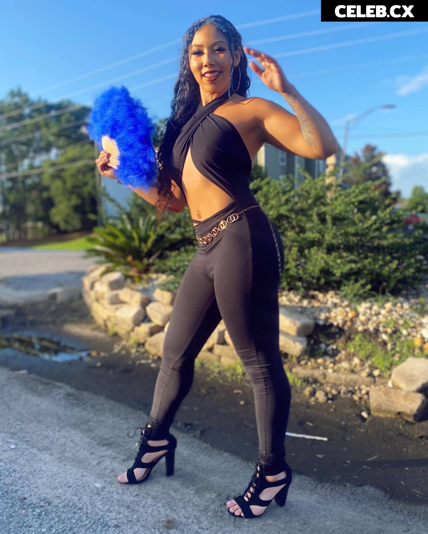 Women of Professional Wrestling Image 6204991