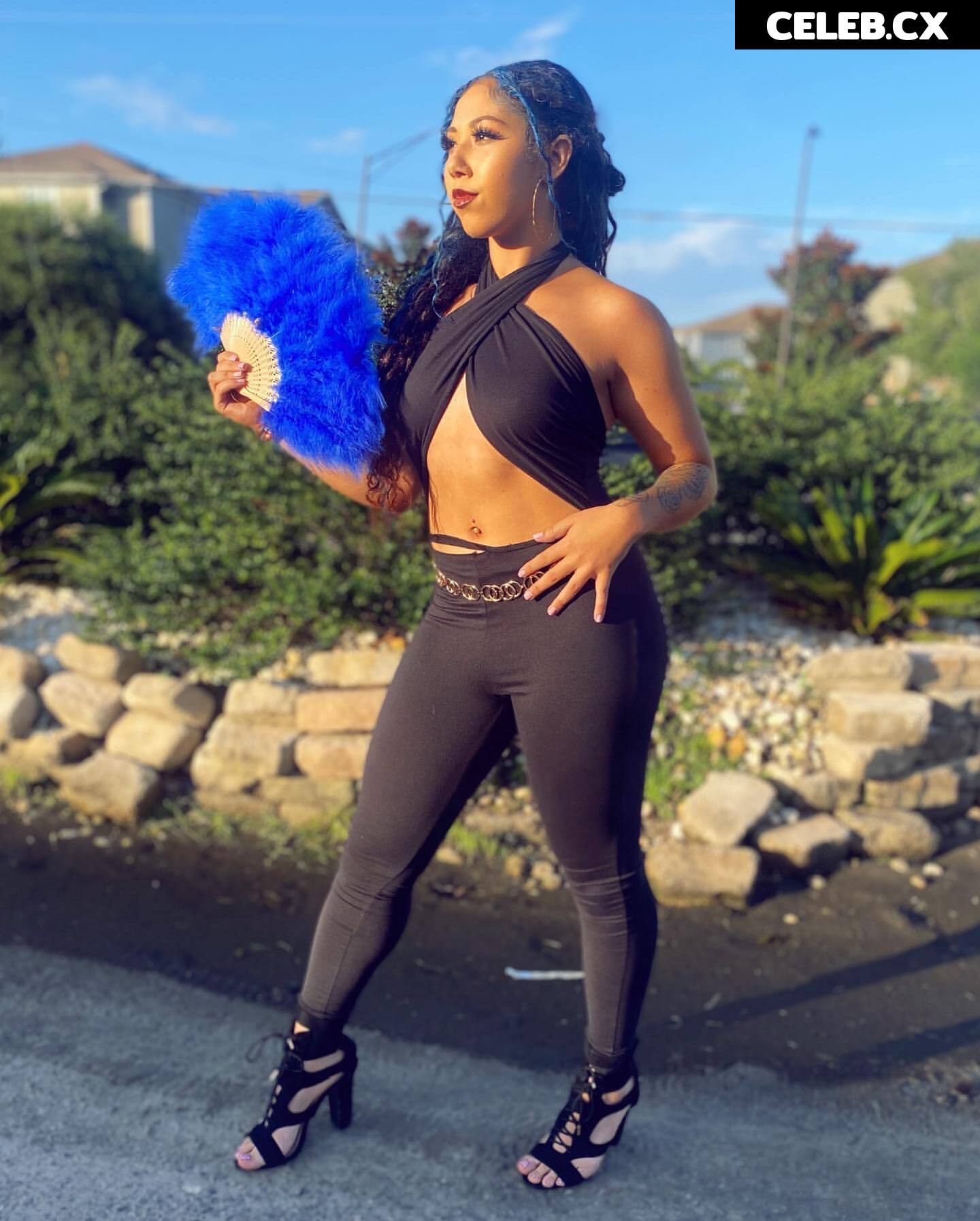 Women of Professional Wrestling Image 6204901