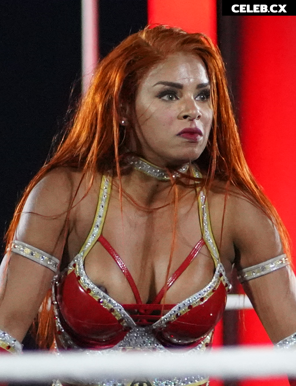 Women of Professional Wrestling Image 6203986