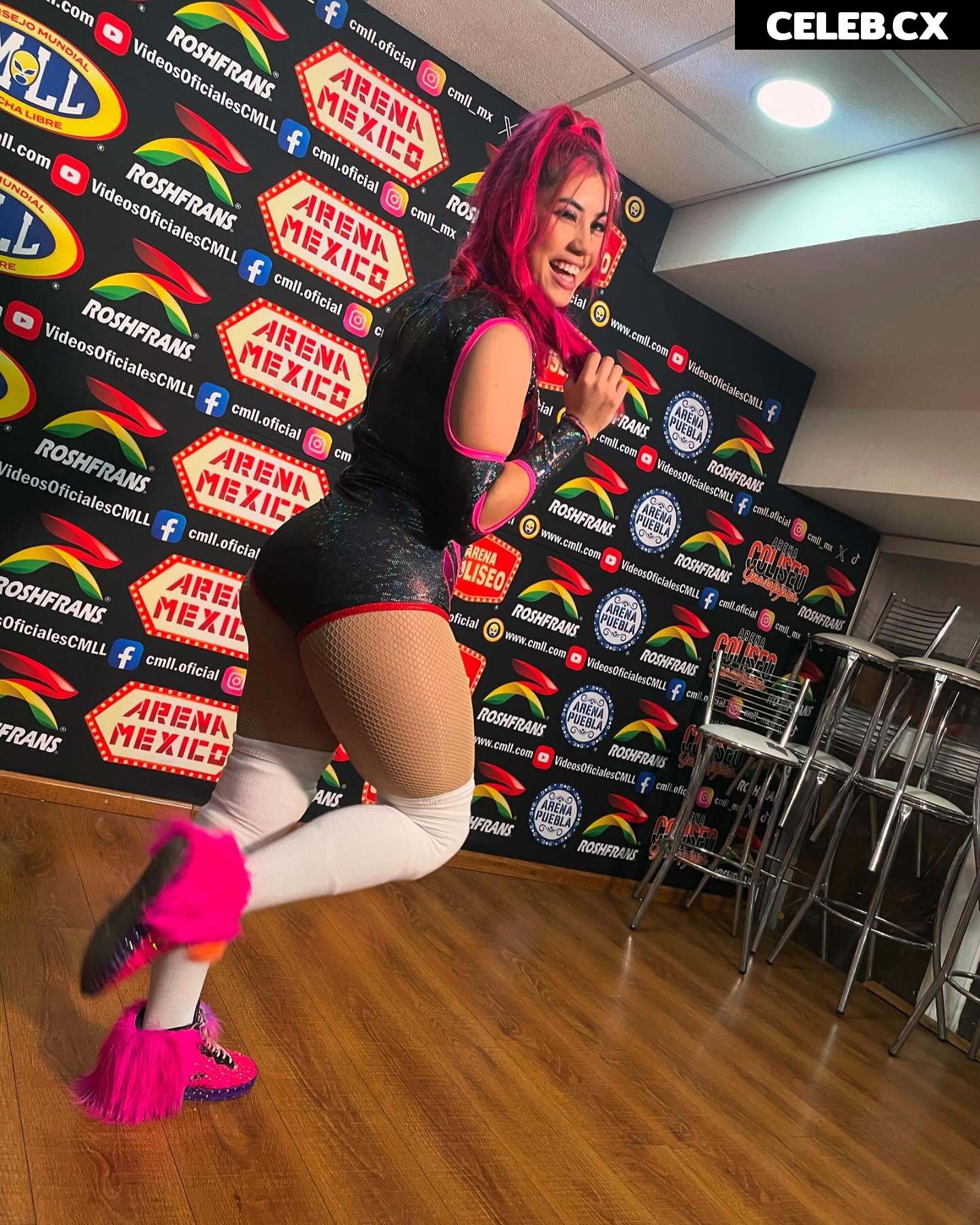 Women of Professional Wrestling Image 6351866