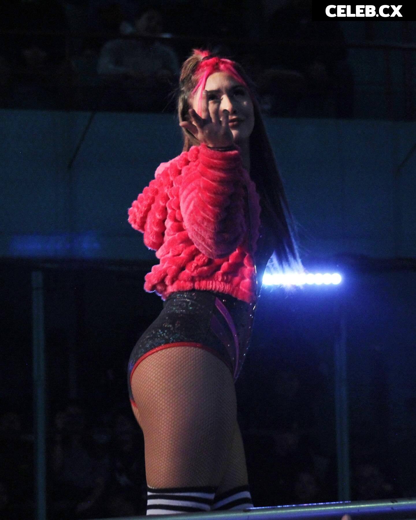 Women of Professional Wrestling Image 6351805