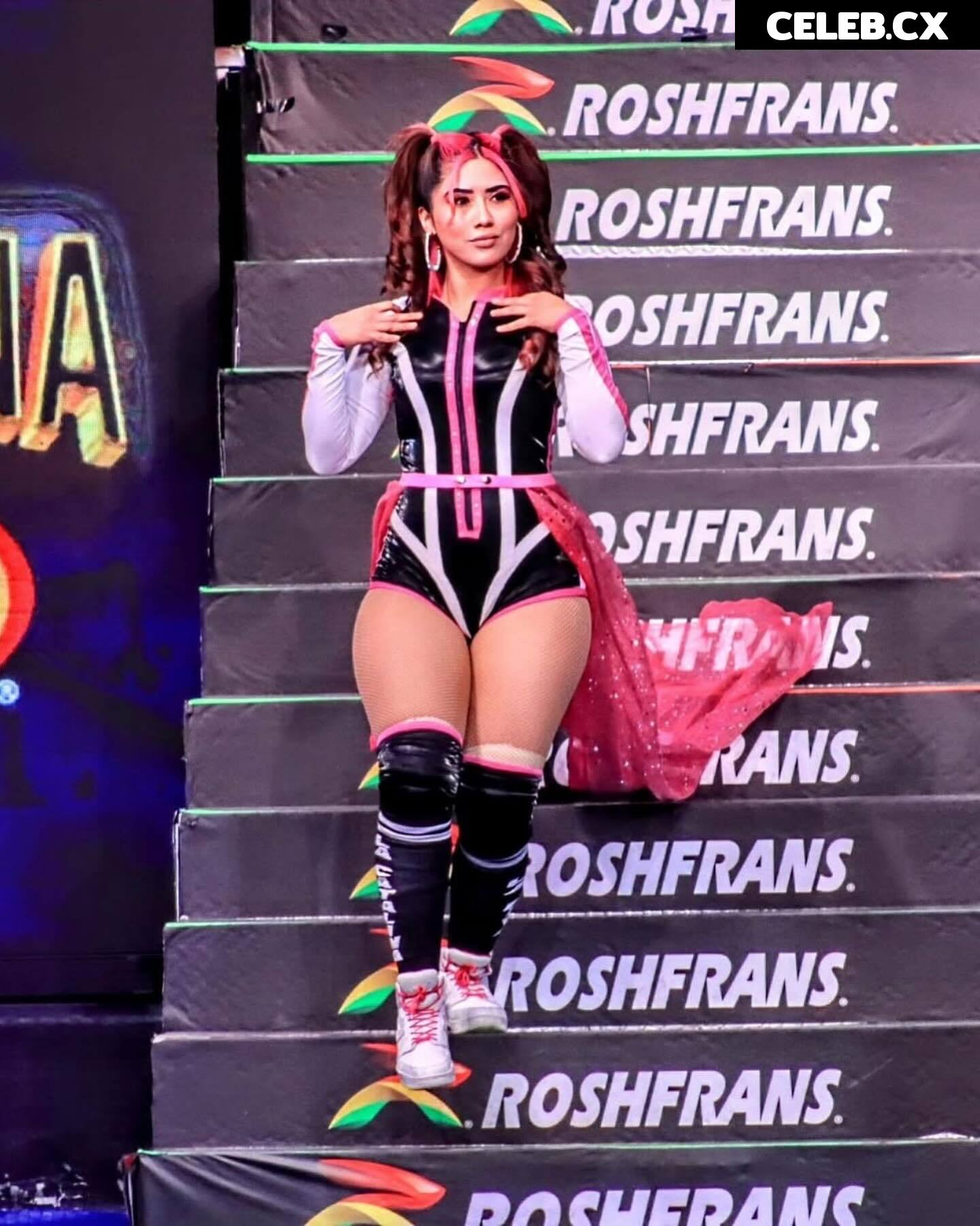 Women of Professional Wrestling Image 6351821