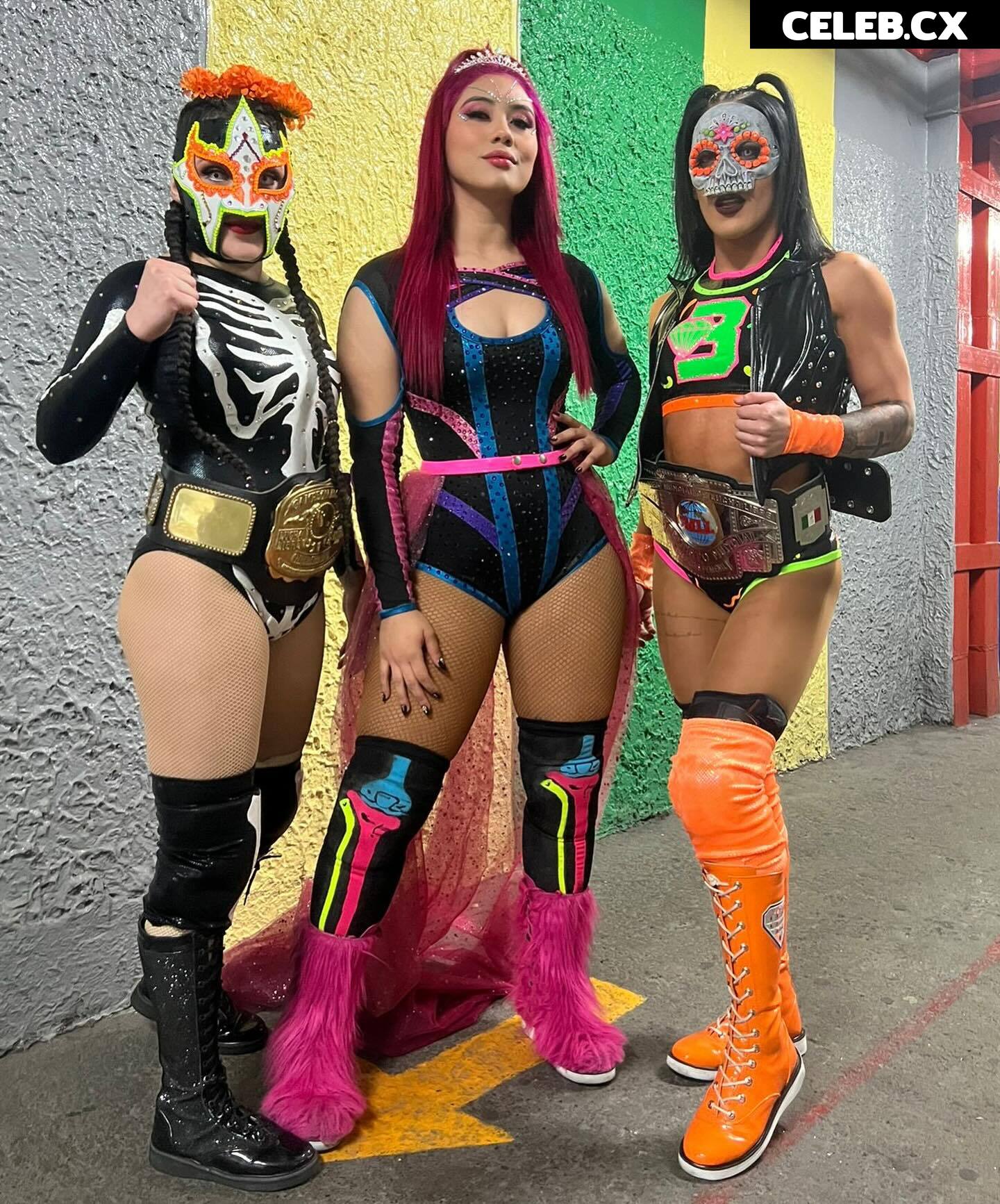 Women of Professional Wrestling Image 6351753