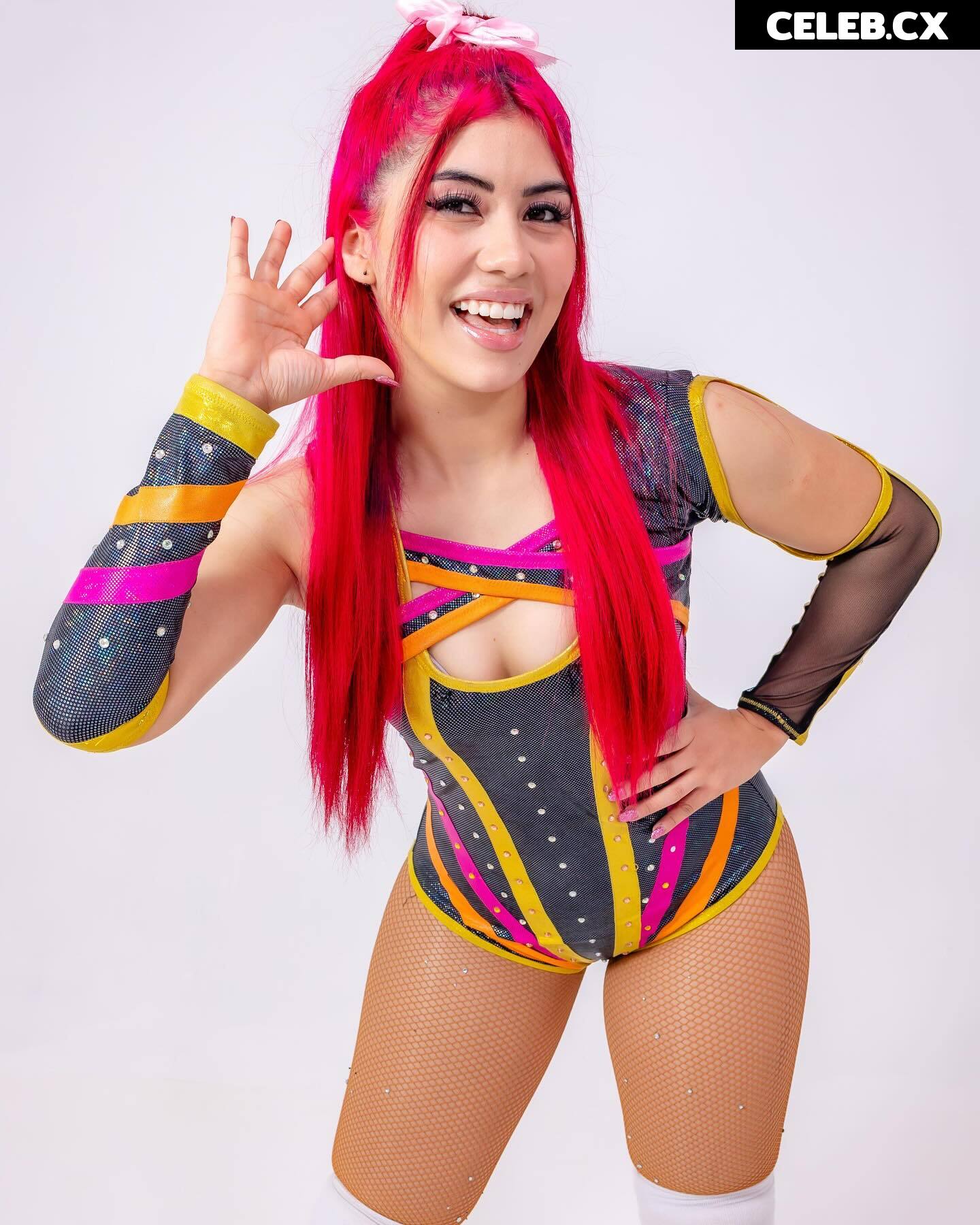 Women of Professional Wrestling Image 6351749