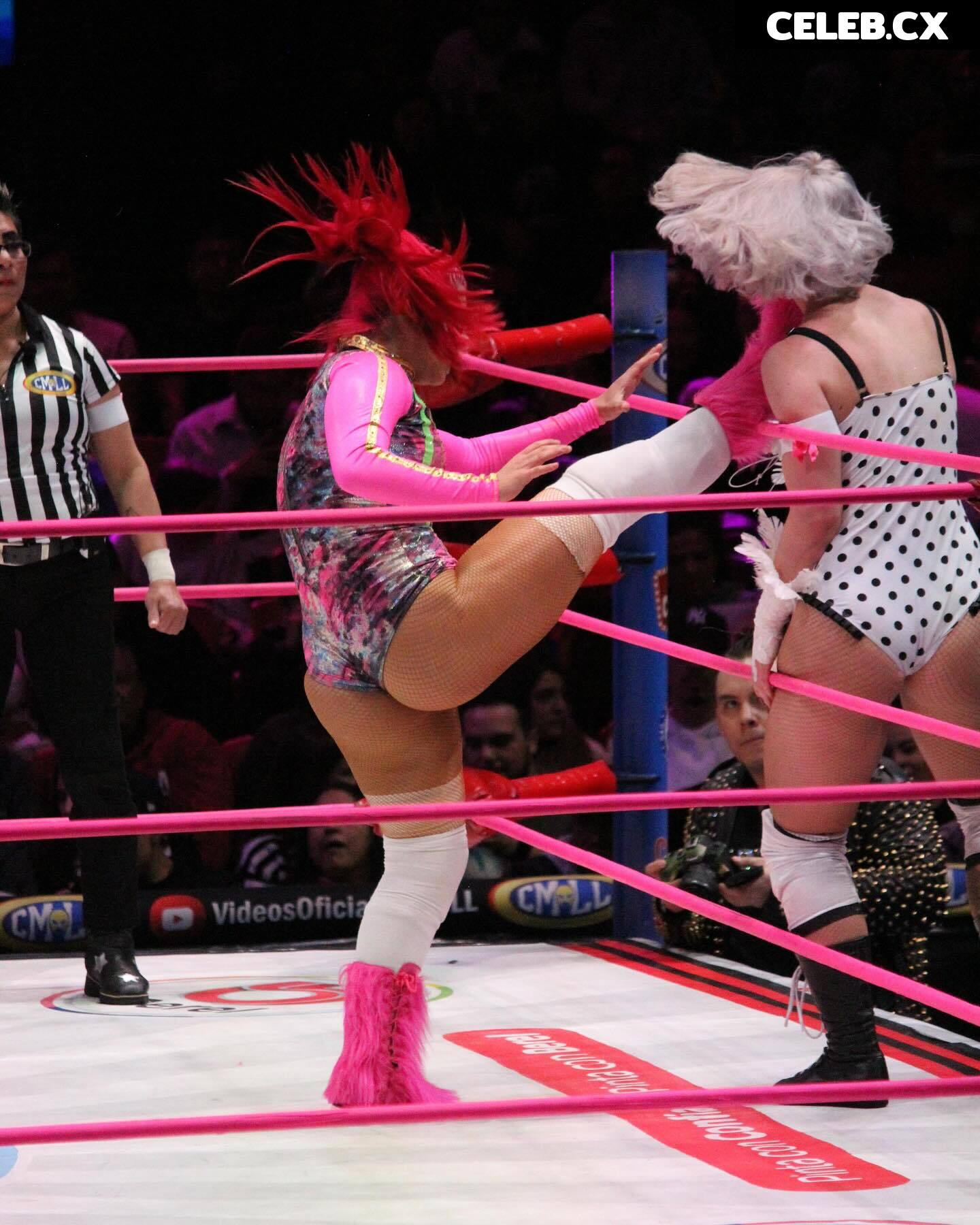 Women of Professional Wrestling Image 6351715