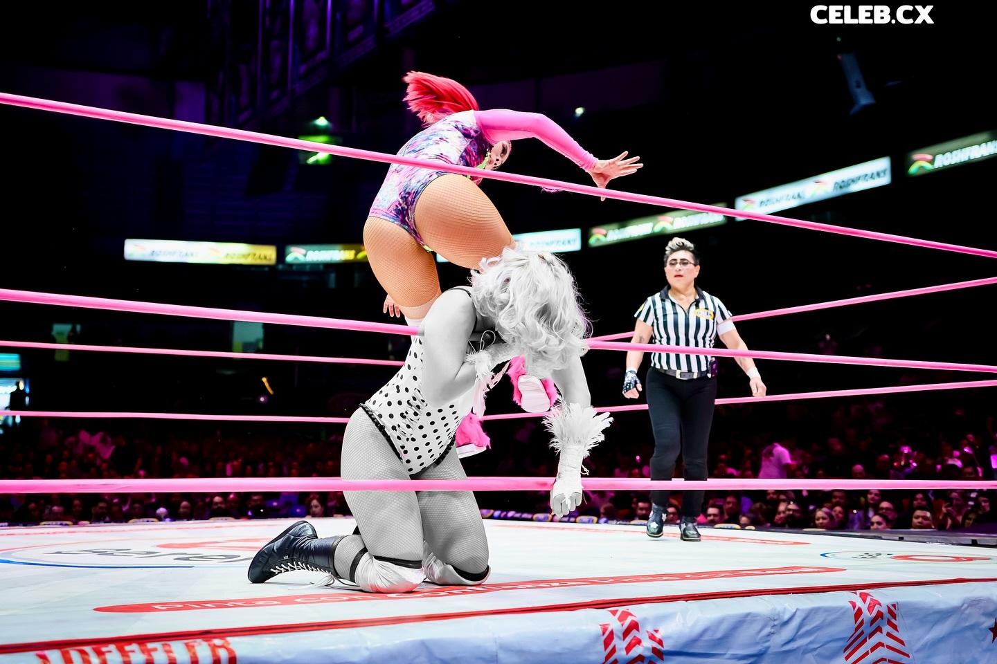 Women of Professional Wrestling Image 6351683