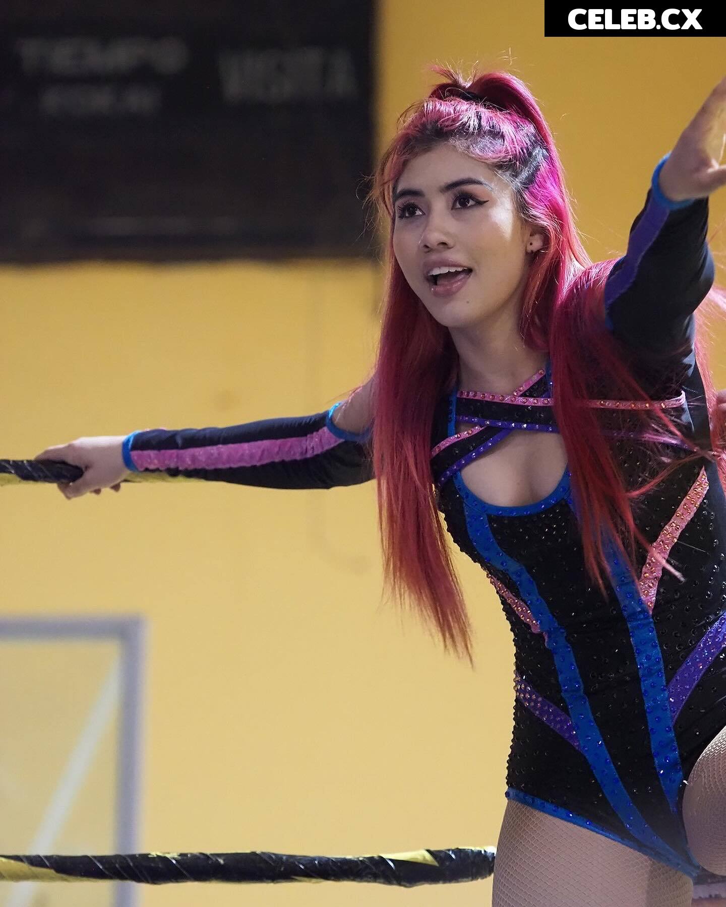 Women of Professional Wrestling Image 6351672