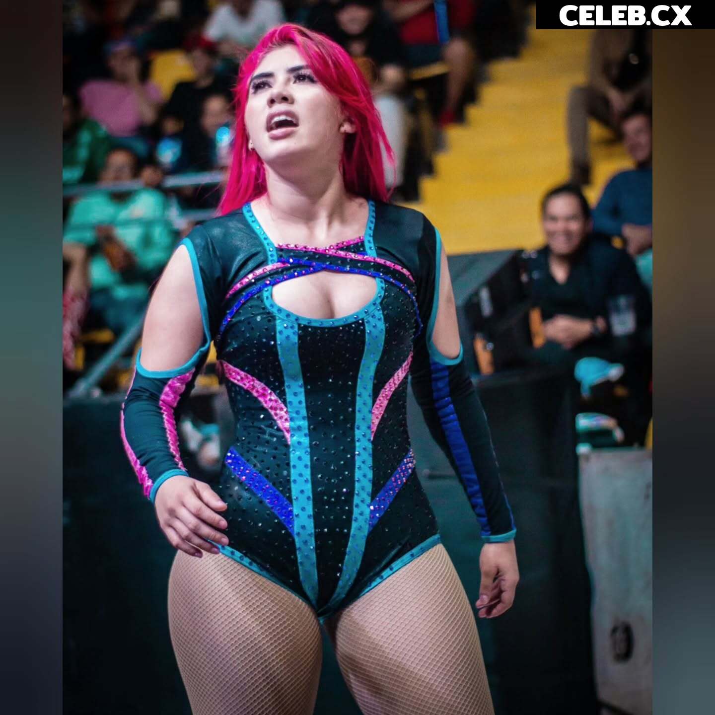 Women of Professional Wrestling Image 6351905