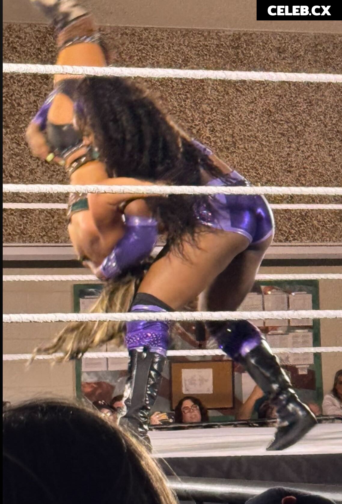 Women of Professional Wrestling Image 6352449