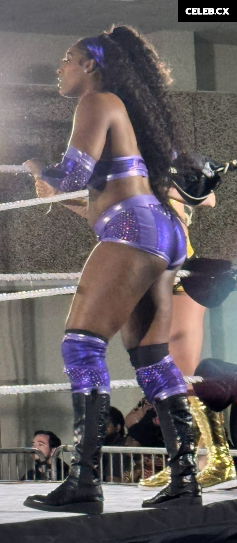Women of Professional Wrestling Image 6352417