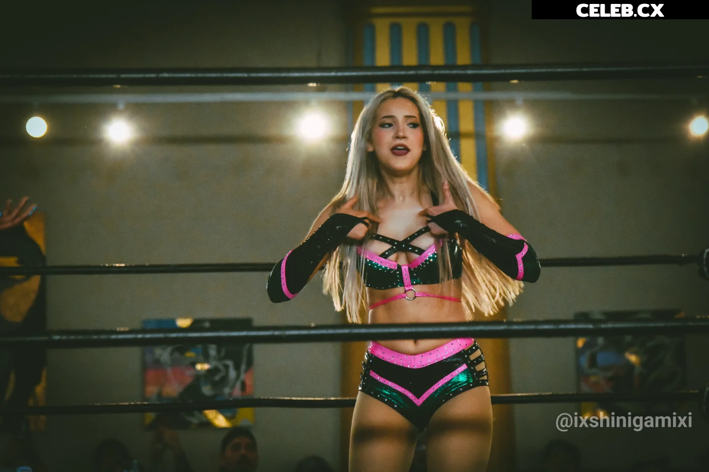 Women of Professional Wrestling Image 6352657