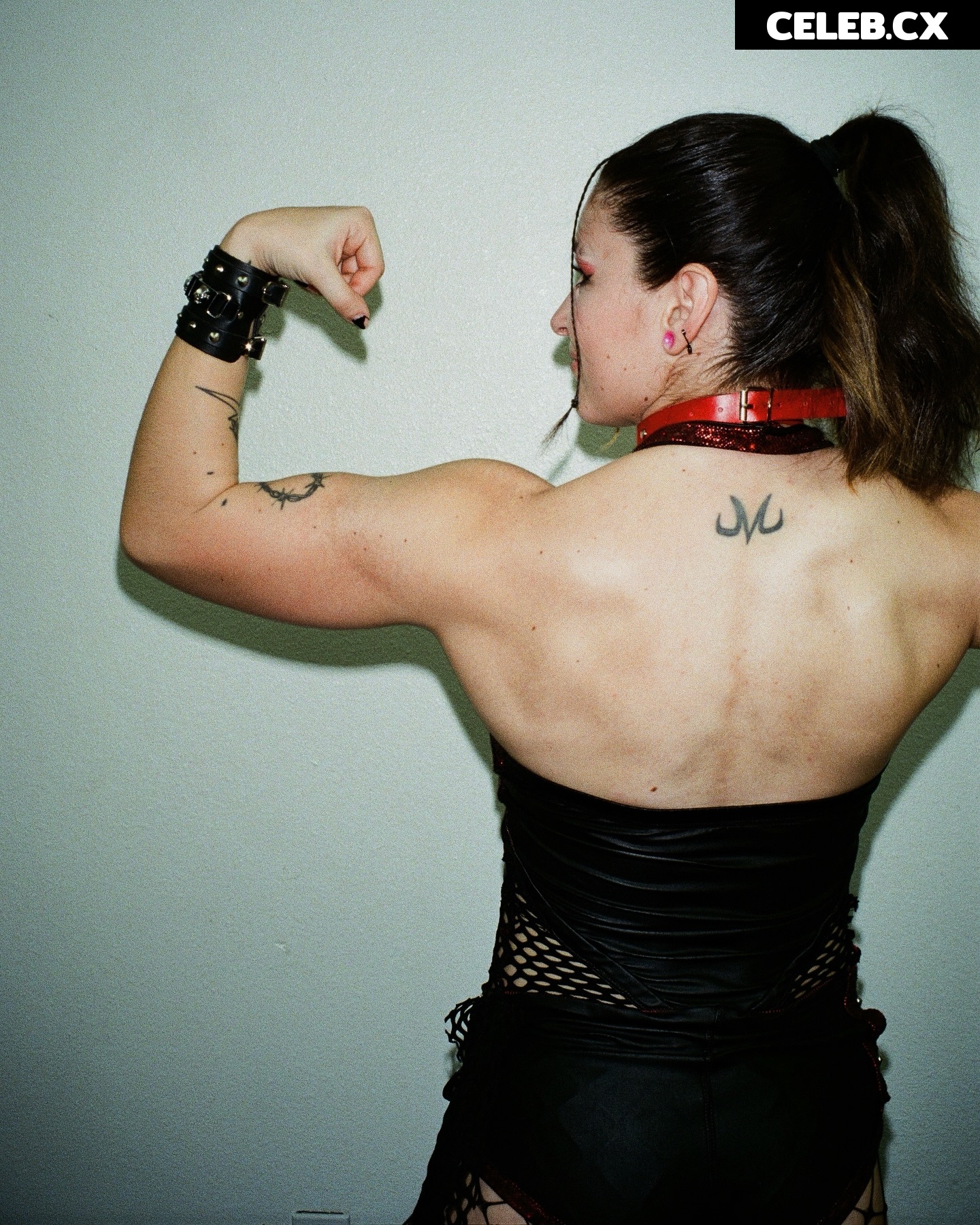 Women of Professional Wrestling Image 6350048