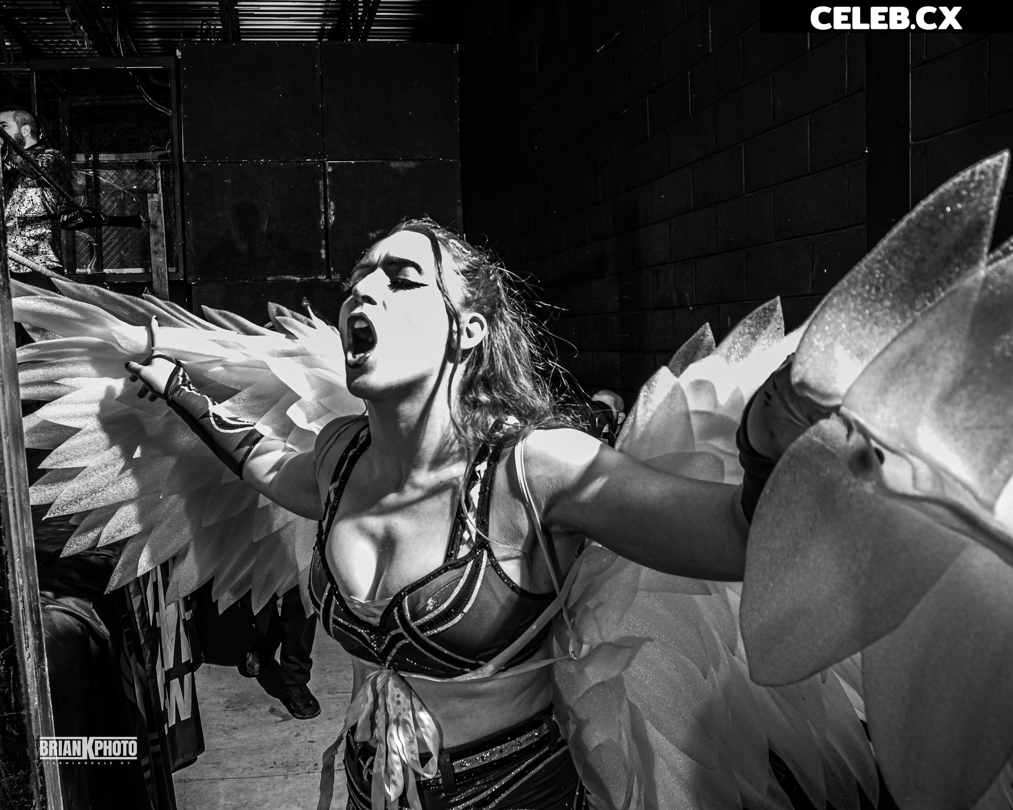 Women of Professional Wrestling Image 6350969